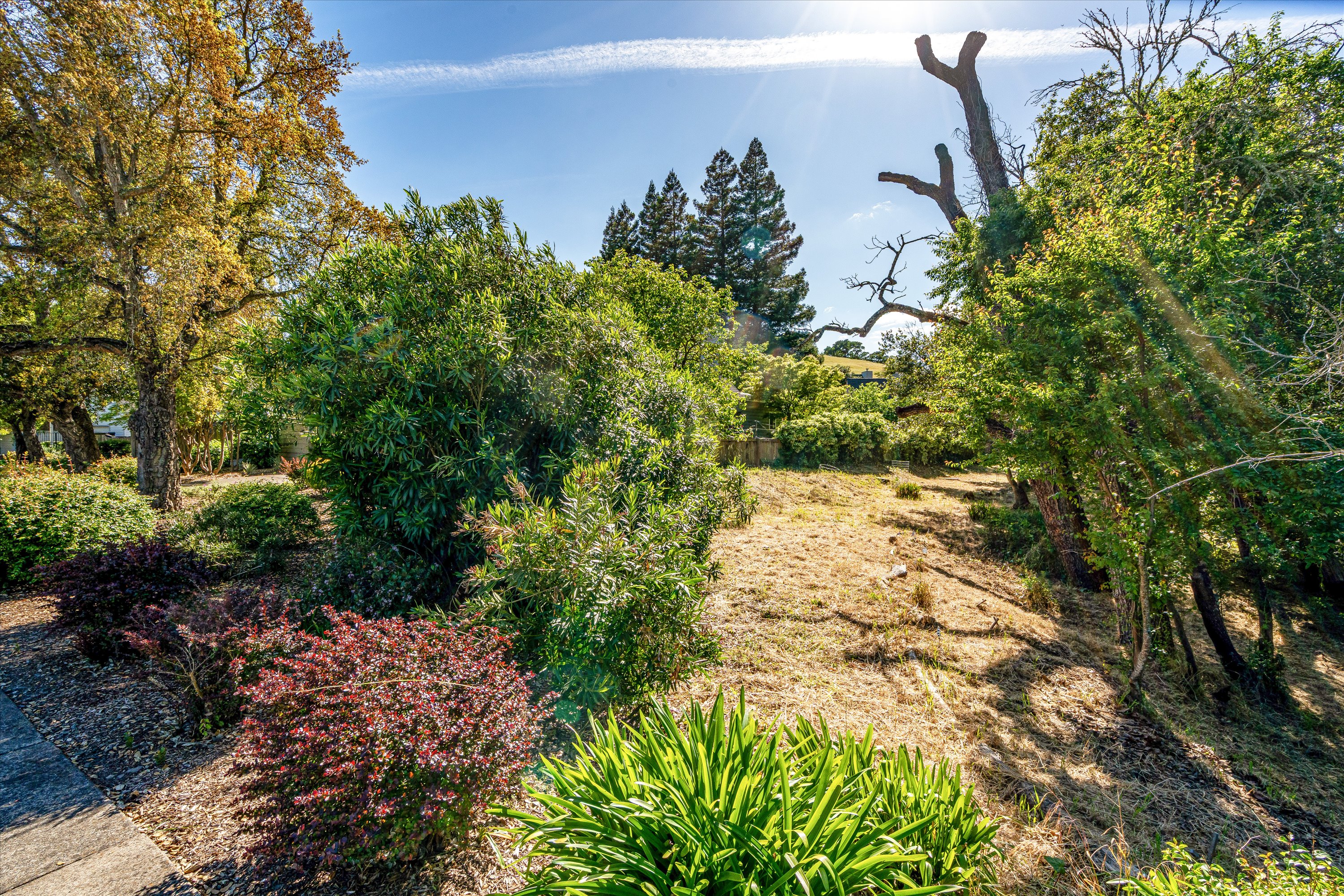  21350 Via Colombard - 物件實景
