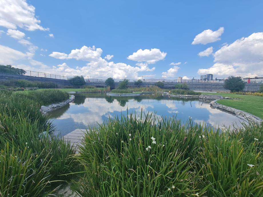 Boulevard G Bonfil, Pachuca de Soto, Hidalgo, 42084, Mexico, 1 Bedroom Bedrooms, ,Residential,For Sale,Boulevard G Bonfil,1671994