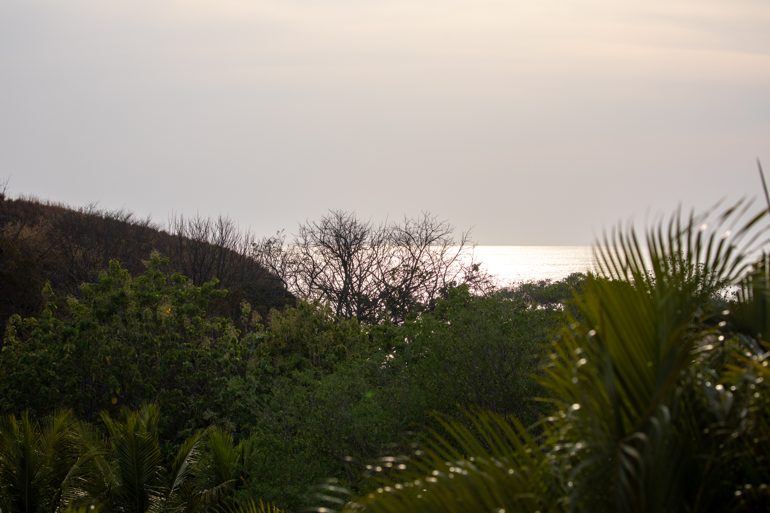 Nosara, Guanacaste, CR, 16 Bedrooms Bedrooms, ,9 BathroomsBathrooms,Residential,For Sale,1587974