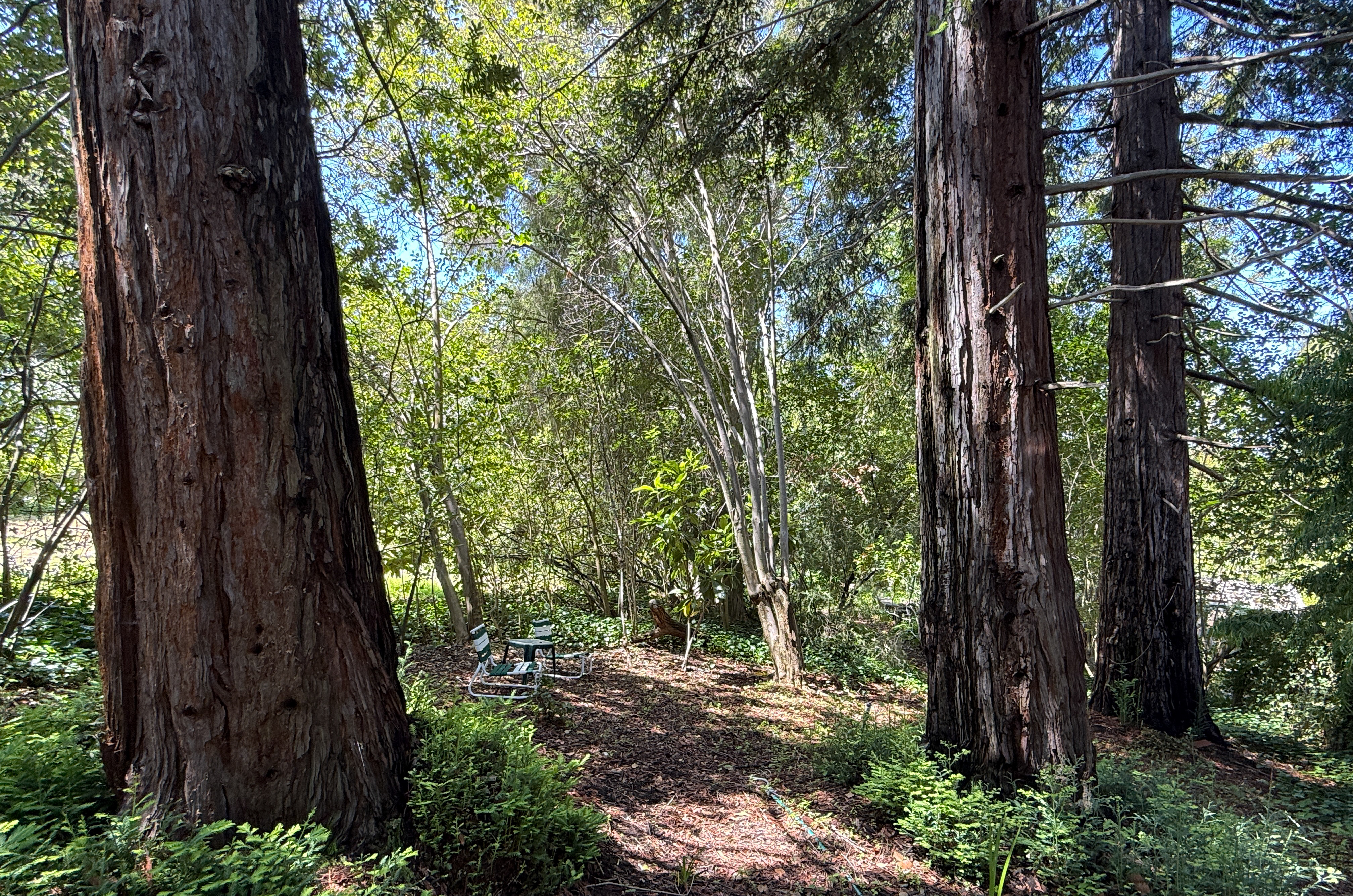  746 Santa Ynez Street, Stanford, CA 94305 - 物件實景