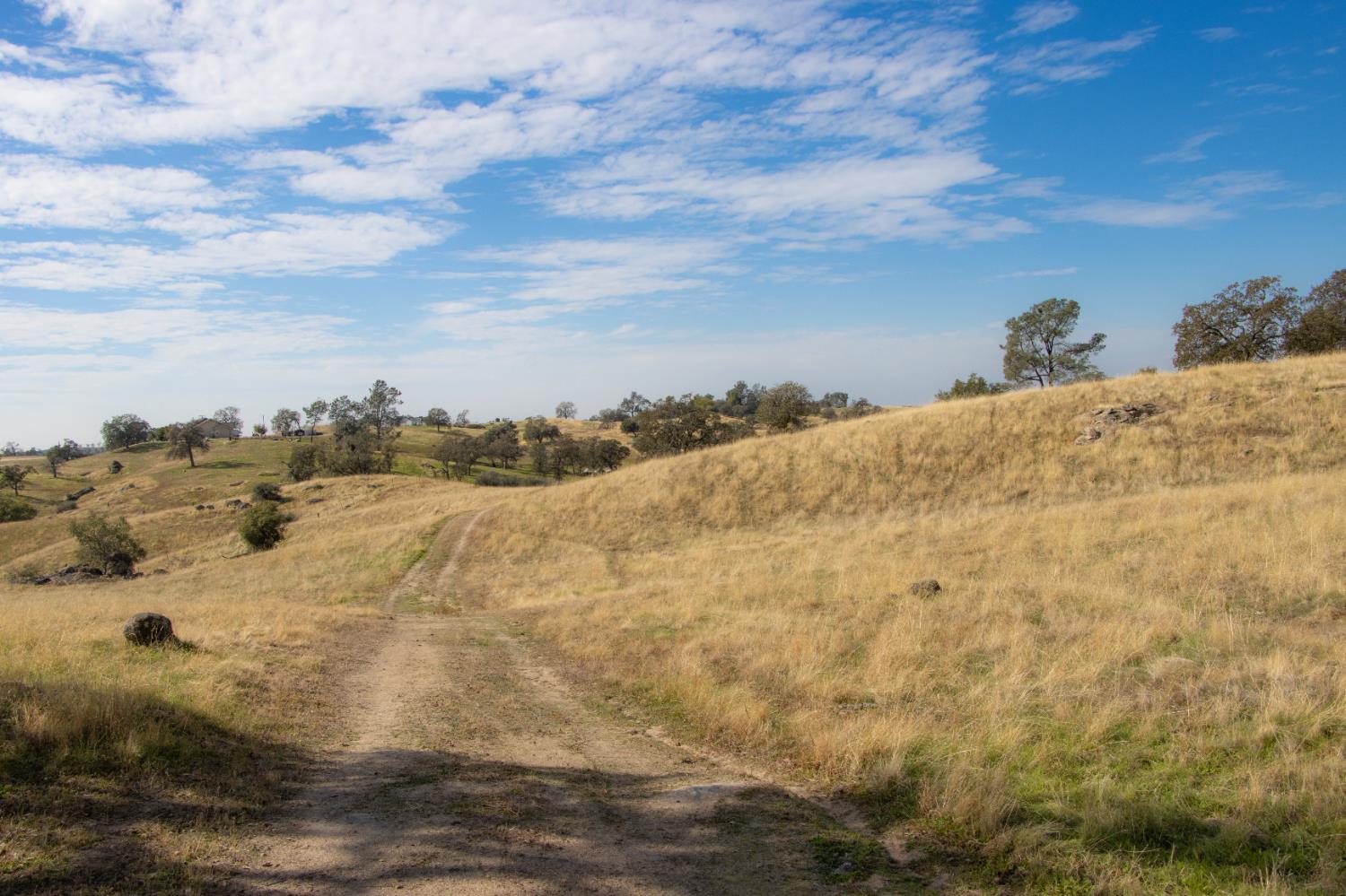 Coarsegold, California, 93614, United States, ,Residential,For Sale,2006211