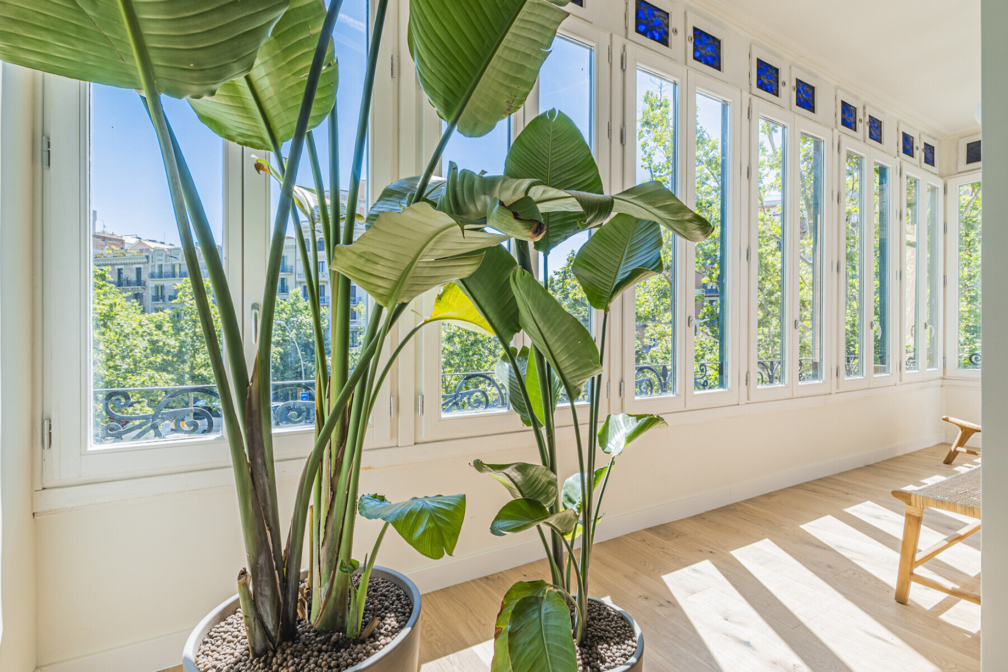  Elegant renovated residence in a majestic Eixample building - 物件實景