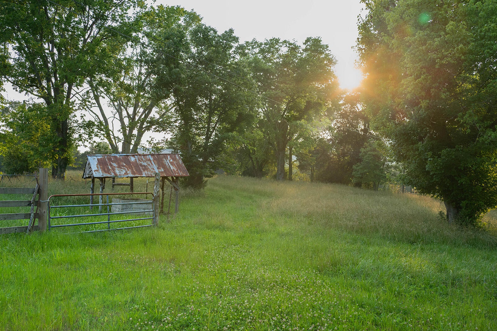 188 Marion Agee Road, Crossville, Tennessee, 37367, United States, ,Land,For Sale,188 Marion Agee Road,1659693