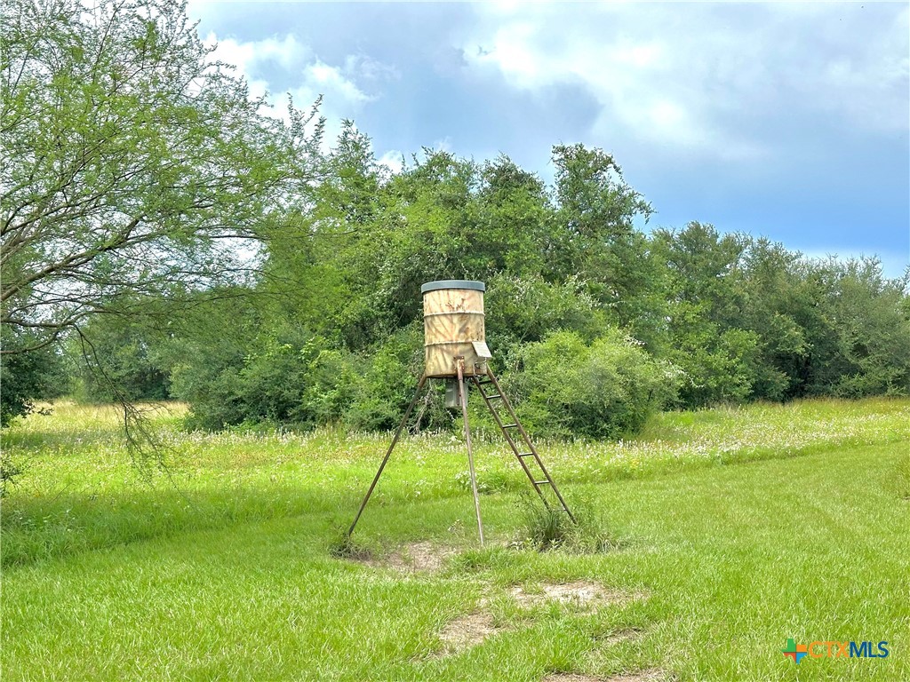 Nursery, Texas, 77976, United States, ,Land,For Sale,1885536