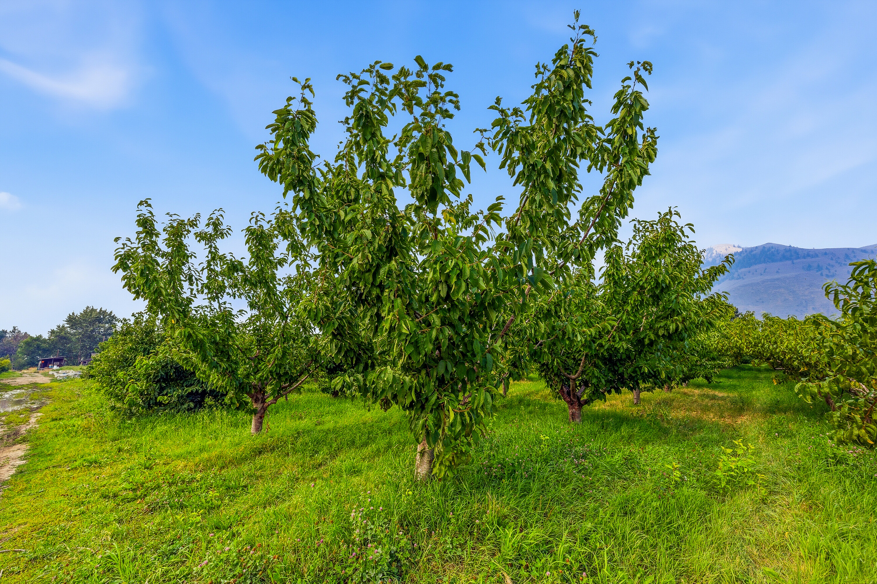  Home on an Organic Farm - 物件實景