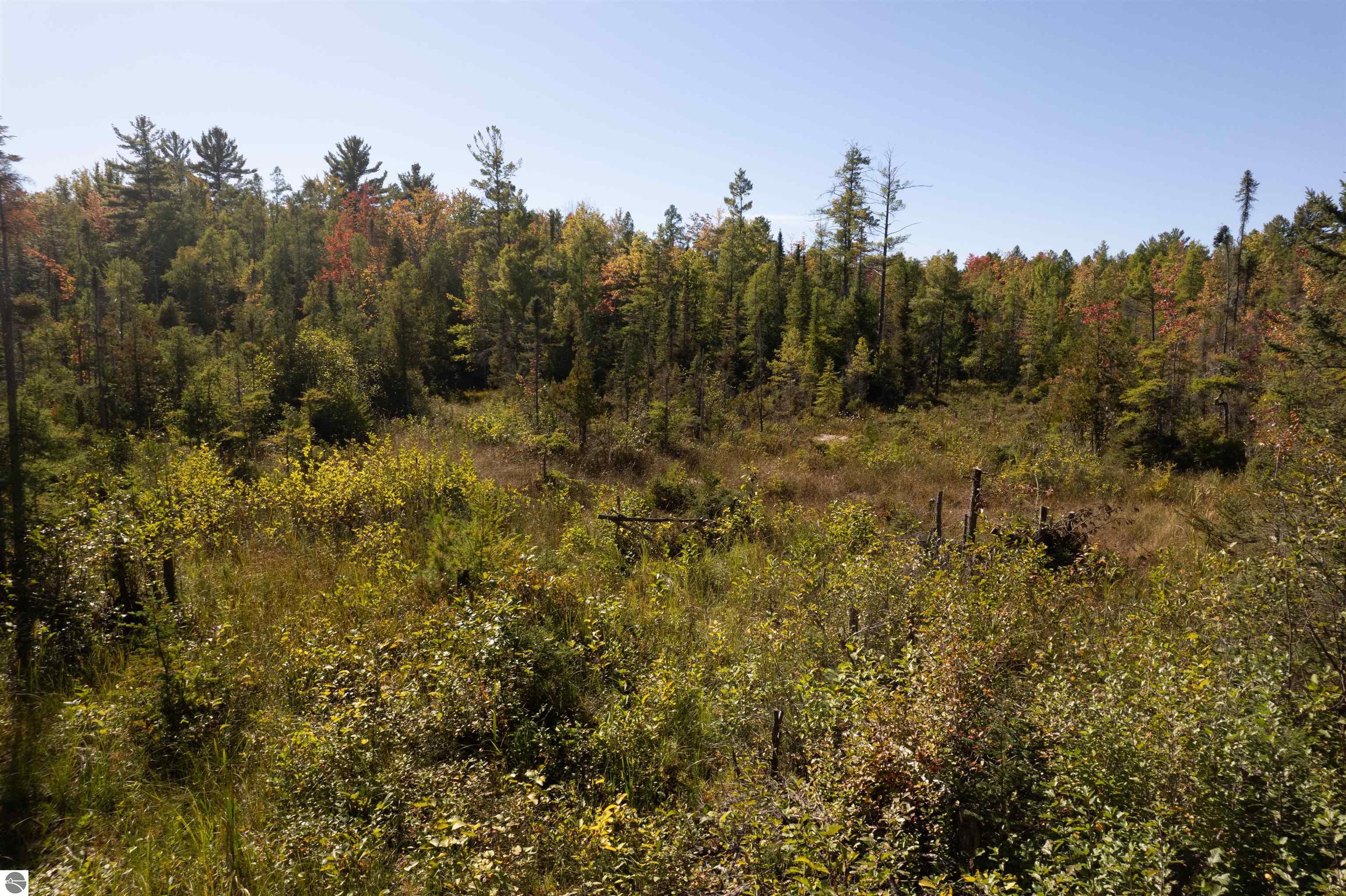 Traverse City, Michigan, 49685, United States, 5 Bedrooms Bedrooms, ,2 BathroomsBathrooms,Residential,For Sale,1960952