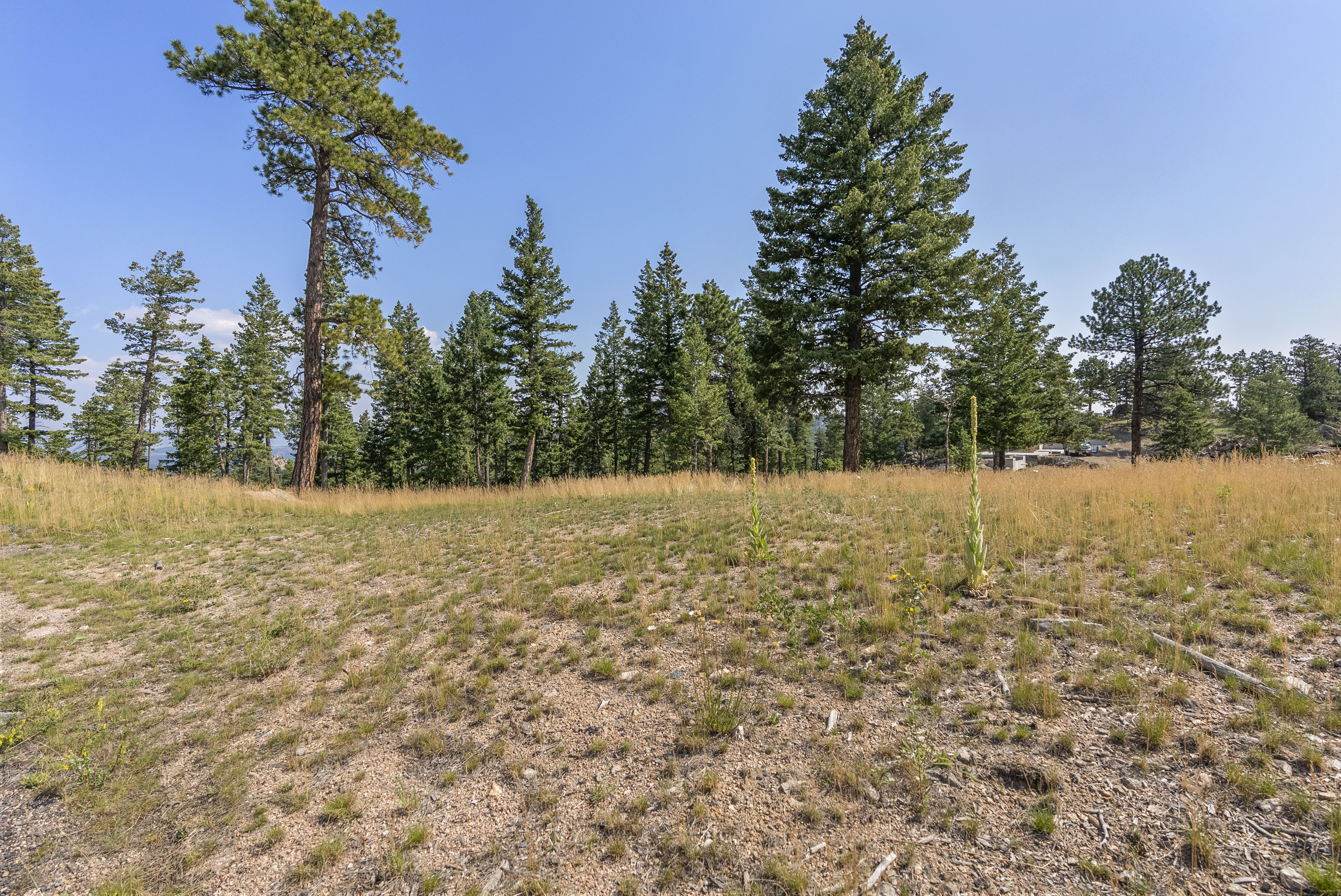  Acreage Available in Evergreen