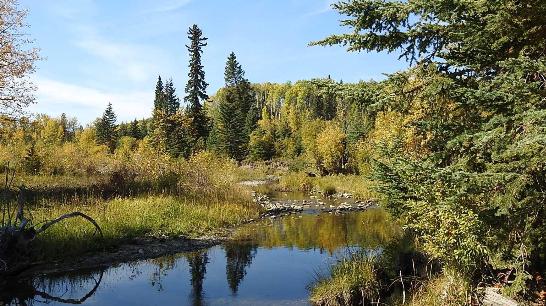 RURAL FOOTHILLS COUNTY, Alberta, T0L 1K0, CA, ,Residential,For Sale,1836944
