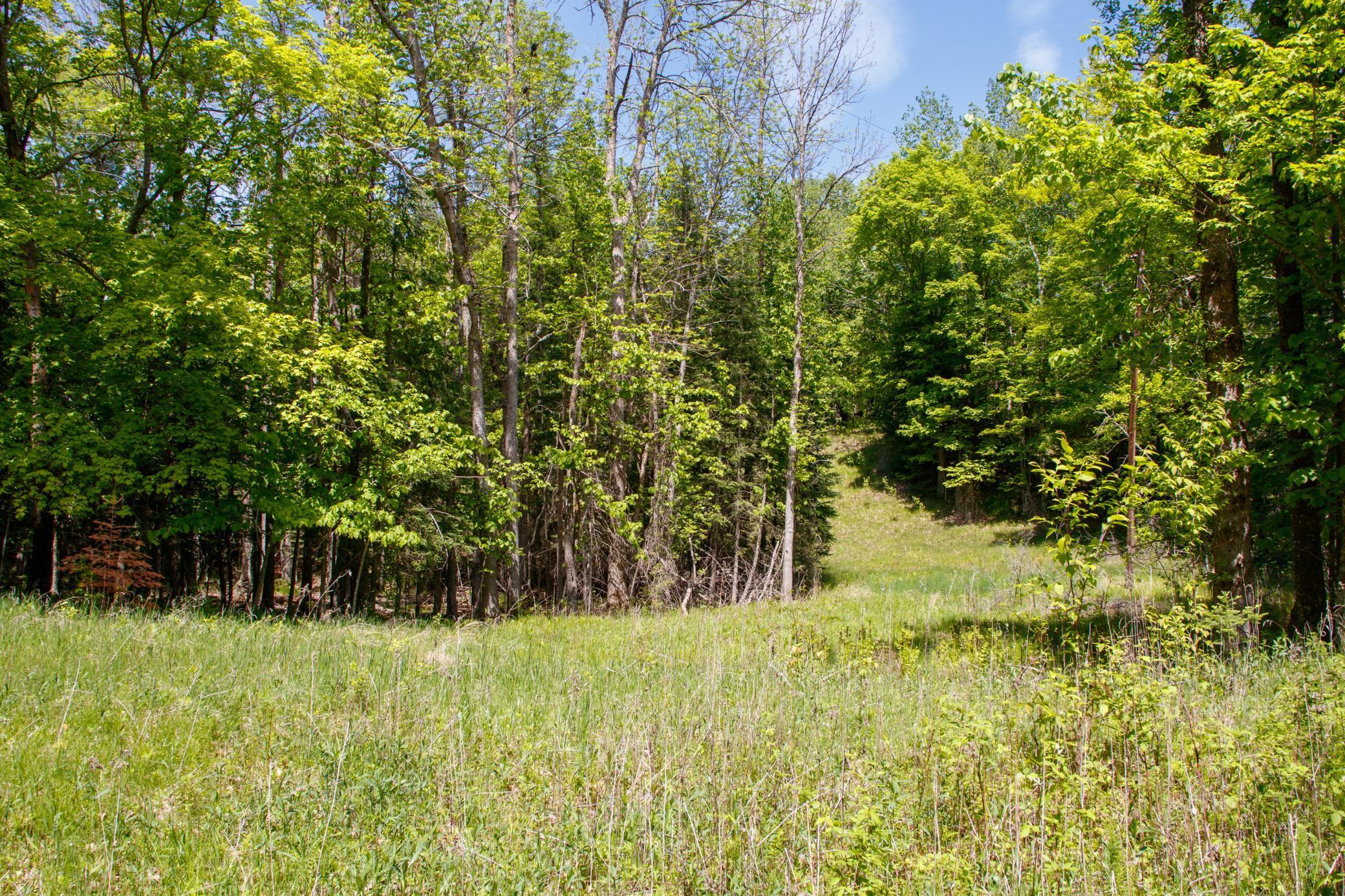 Slater Twp, Minnesota, 56672, United States, ,Land,For Sale,1837224