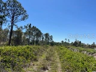 Punta Gorda, Florida, 33982, United States, ,Land,For Sale,1840783