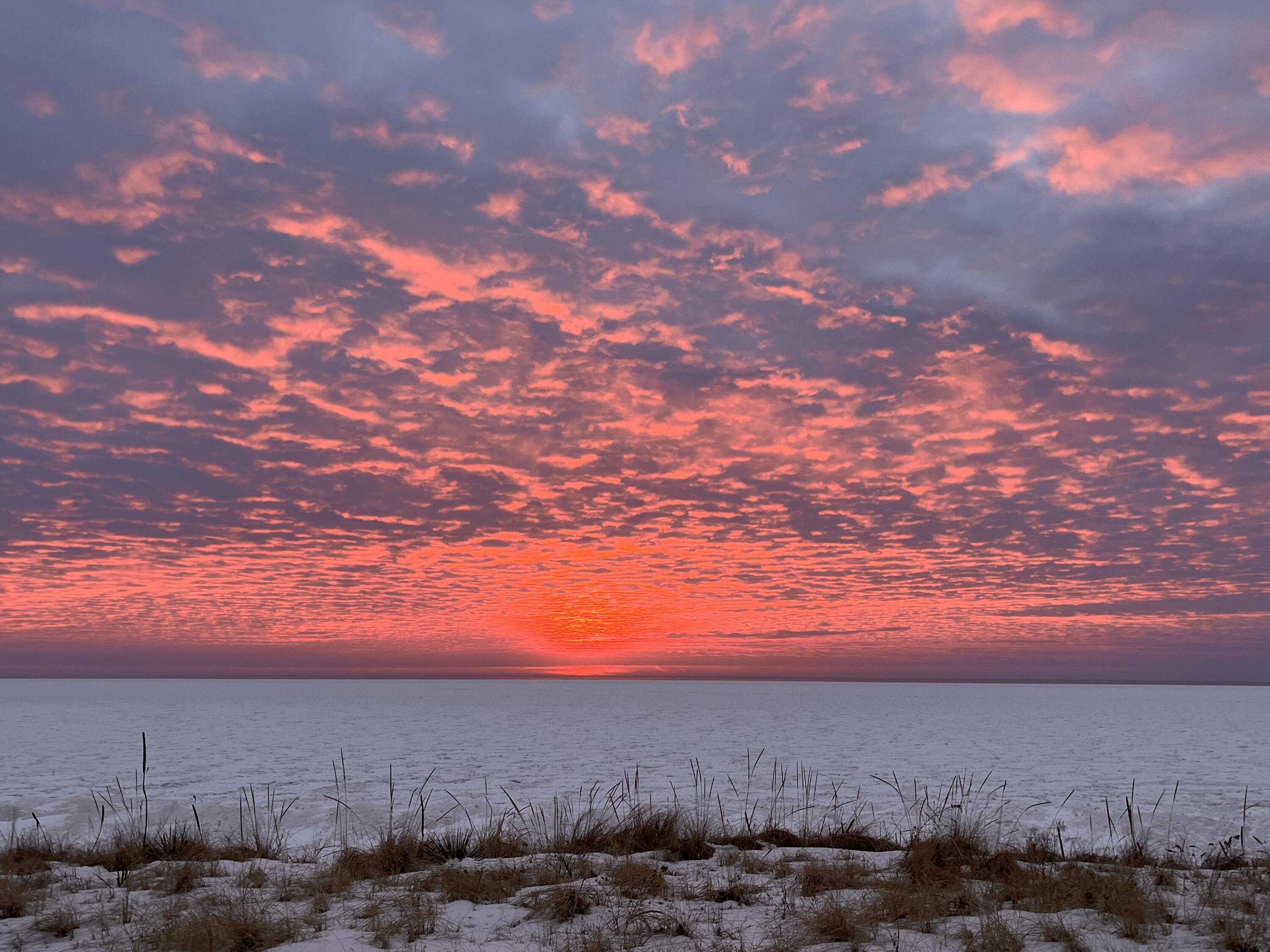 Fennville, Michigan, 49408, United States, 9 Bedrooms Bedrooms, ,10 BathroomsBathrooms,Residential,For Sale,1992421