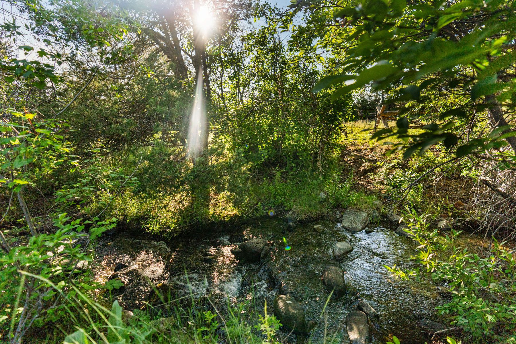  1580 Evan Reese Creek Rd - 物件實景