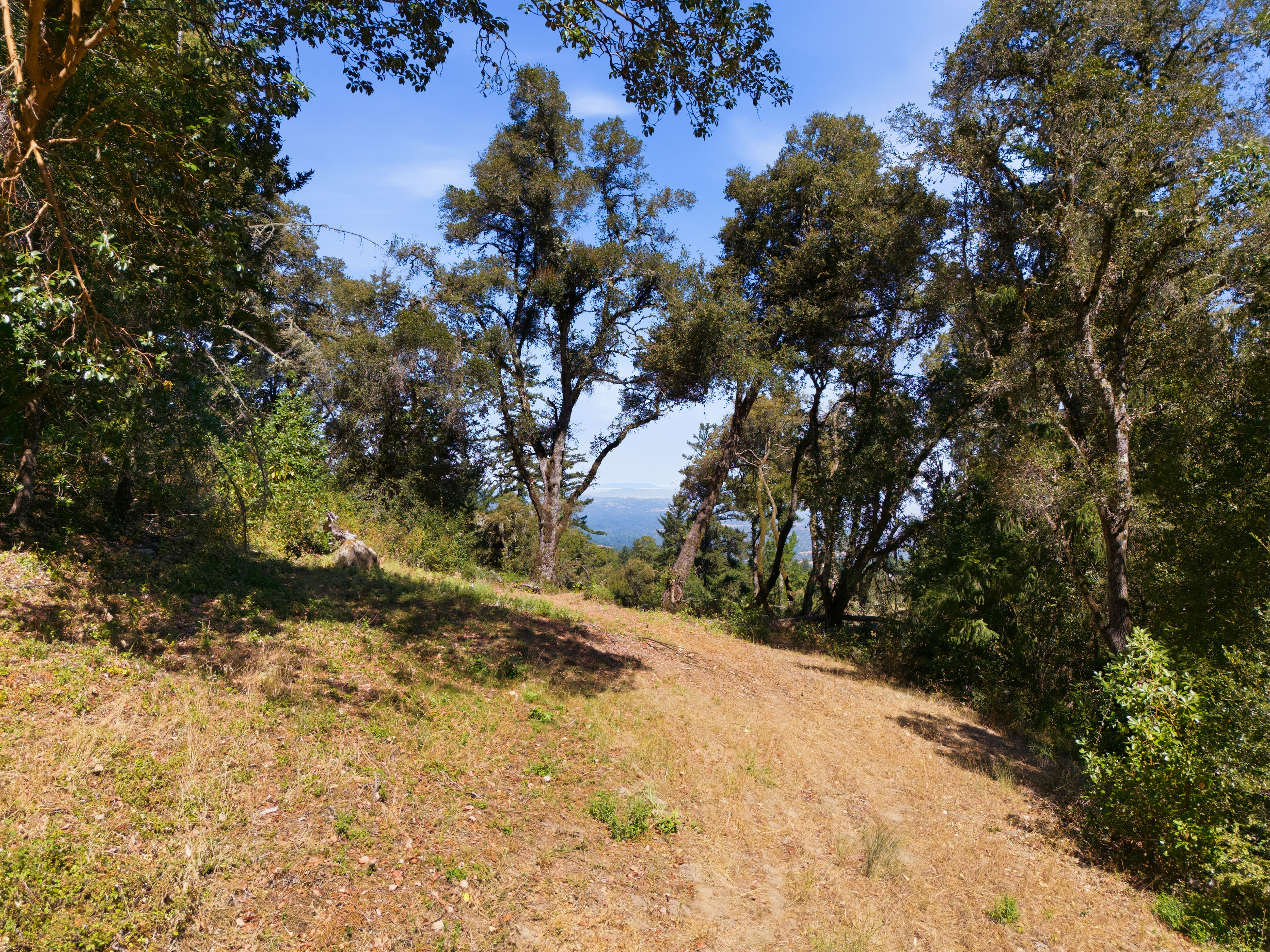  Exceptional Five-Acre Estate Opportunity with Bay Area Views - 物件實景
