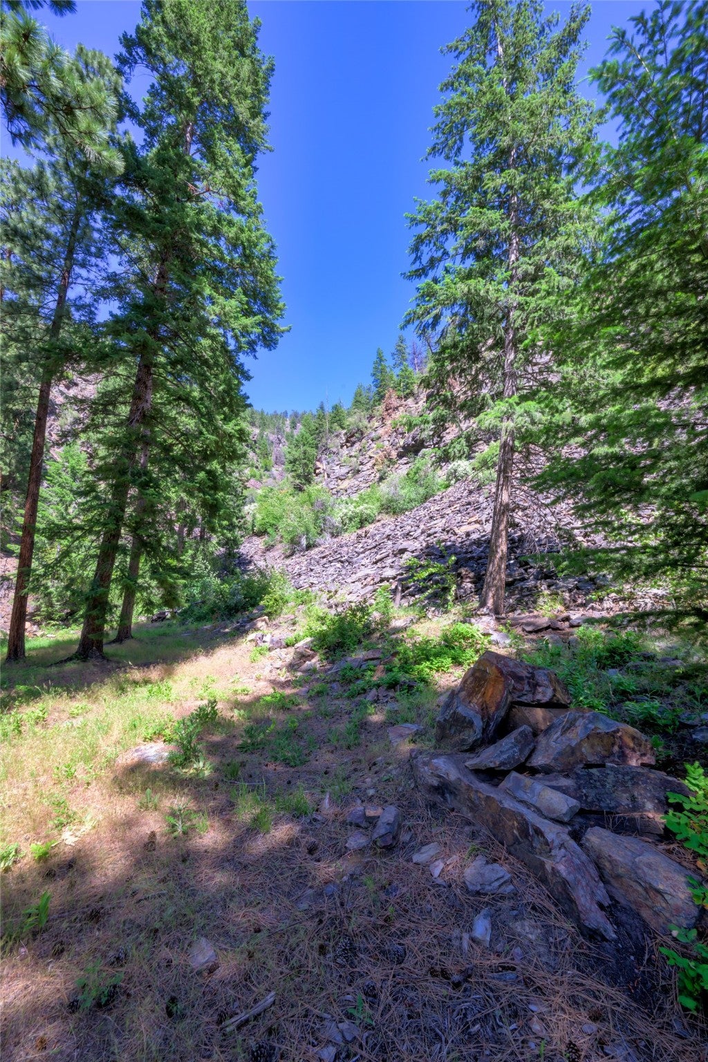 8045 Mt Hwy 200, Plains, Montana, 59859, United States, 3 Bedrooms Bedrooms, ,1 BathroomBathrooms,Residential,For Sale,8045 Mt Hwy 200,1586647