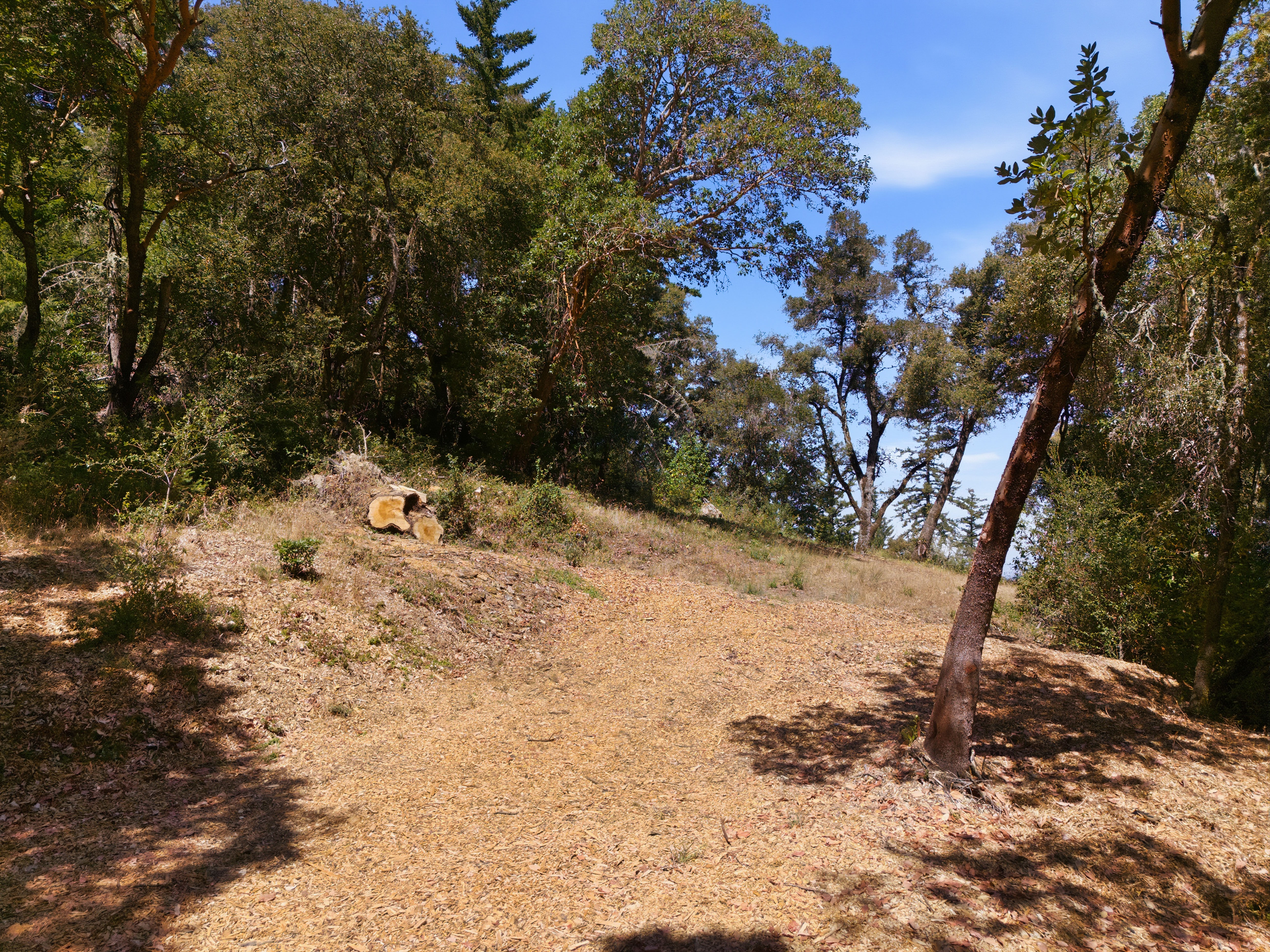  Exceptional Five-Acre Estate Opportunity with Bay Area Views - 物件實景
