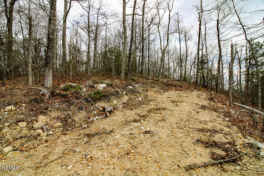 Sevierville, Tennessee, 37876, United States, ,Land,For Sale,2009102