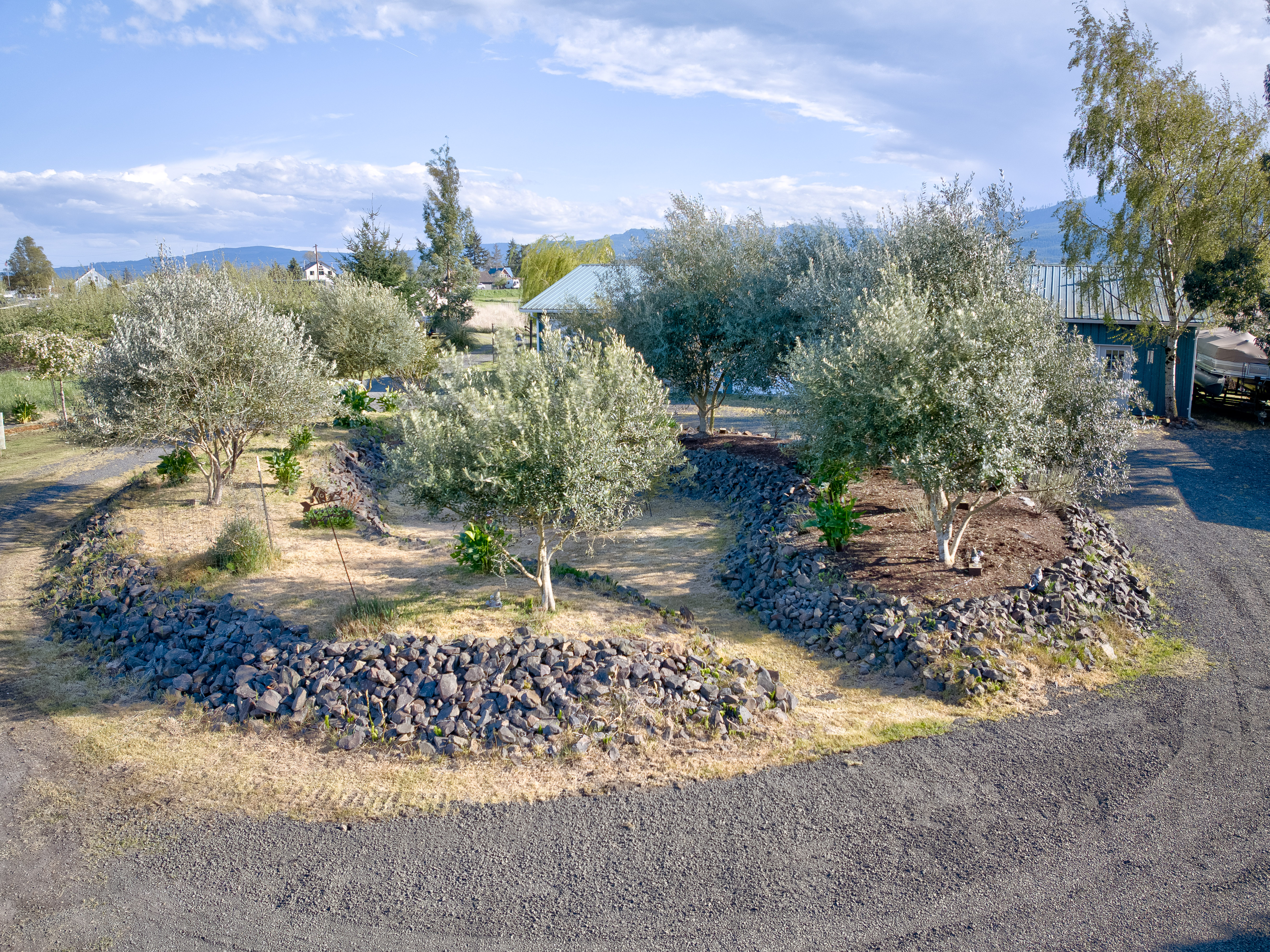  31 Blue Skies Lane, Cathlamet, WA 98612 - 物件實景