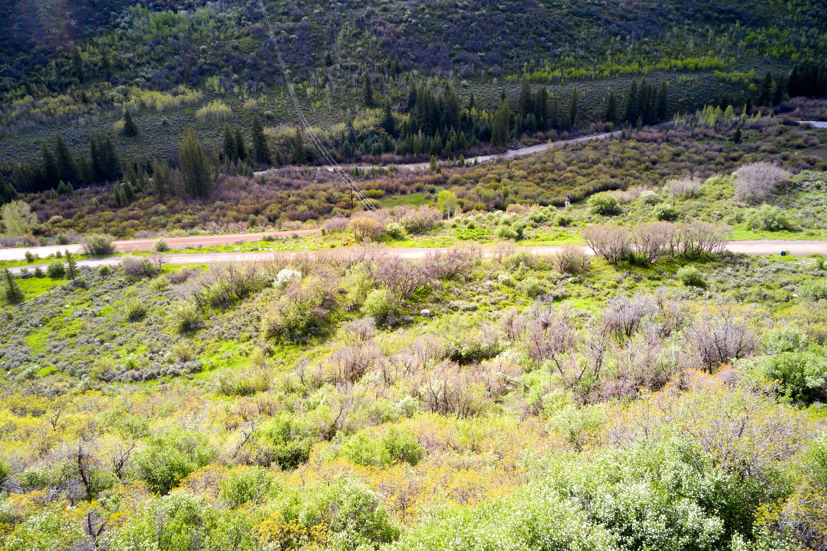  51 Shield O Road, Snowmass, CO, 81654 - 物件實景