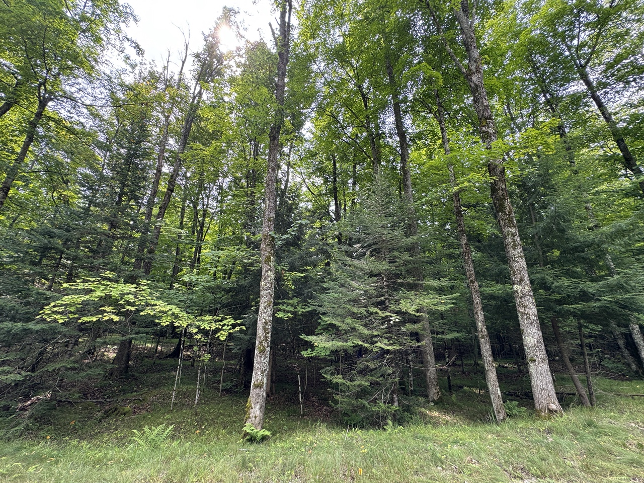 Mercer, Wisconsin, 54547, United States, 3 Bedrooms Bedrooms, ,1 BathroomBathrooms,Residential,For Sale,1974621