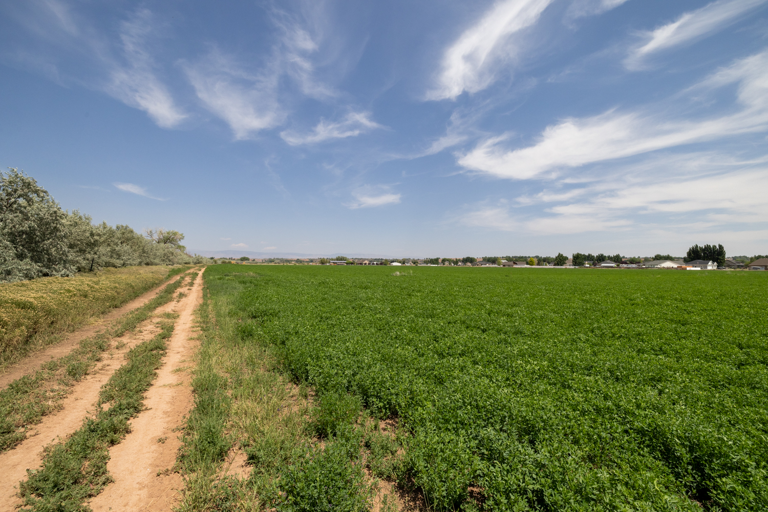 Roosevelt, Utah, 84066, United States, ,Land,For Sale,1903597