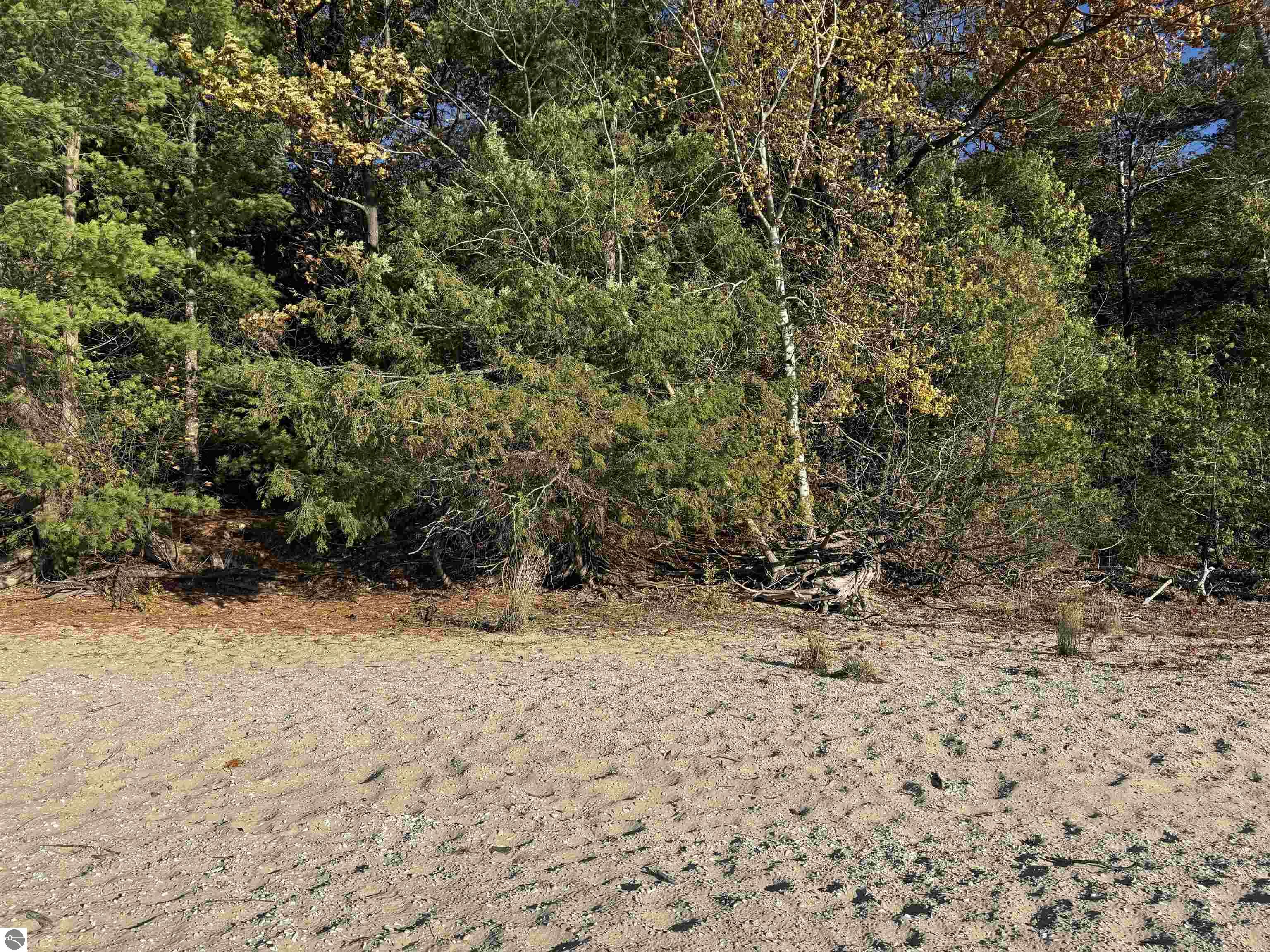 Suttons Bay, Michigan, 49682, United States, ,Land,For Sale,1988871