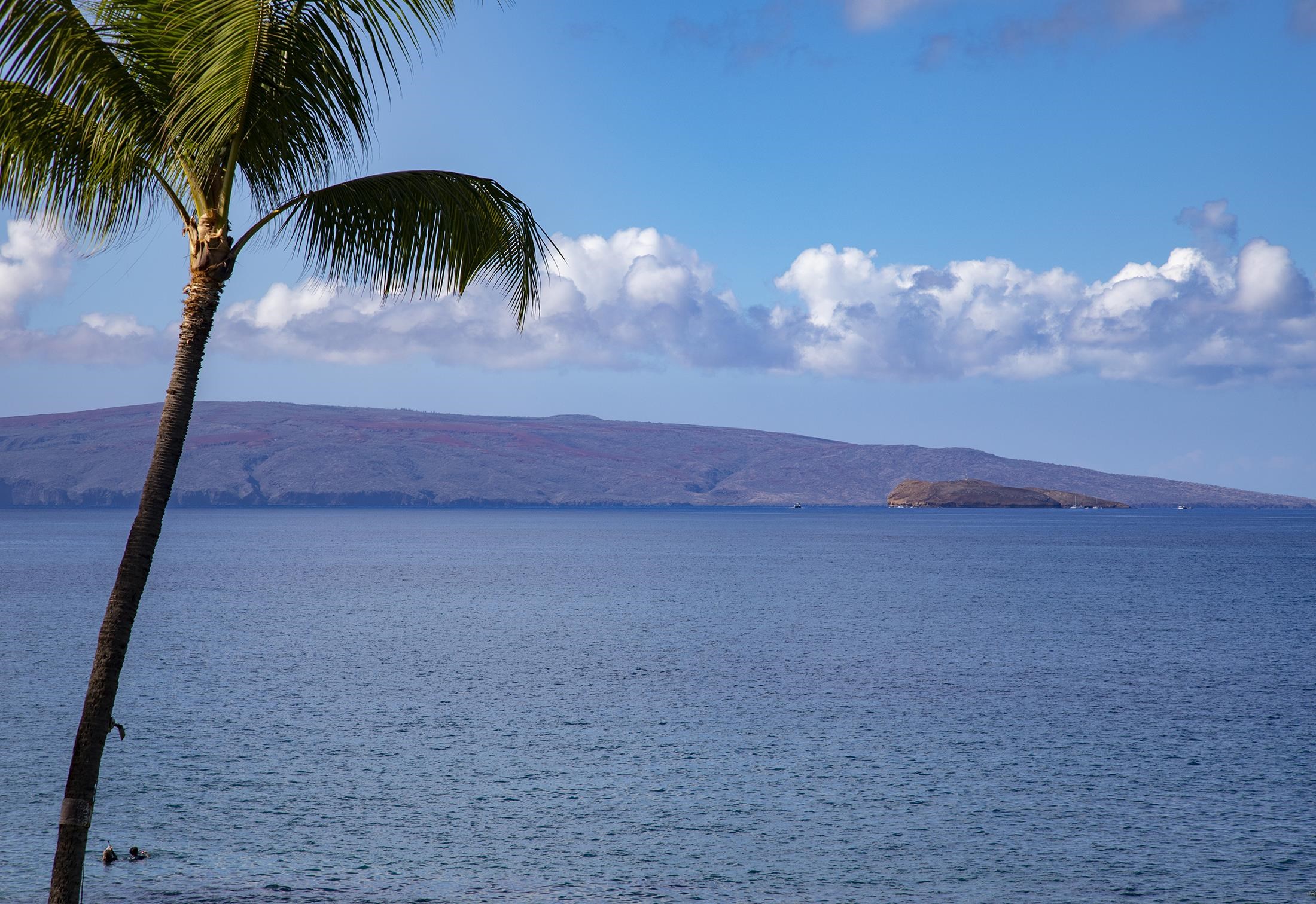 Kihei, Hawaii, 96753-5434, United States, 2 Bedrooms Bedrooms, ,2 BathroomsBathrooms,Residential,For Sale,2000477