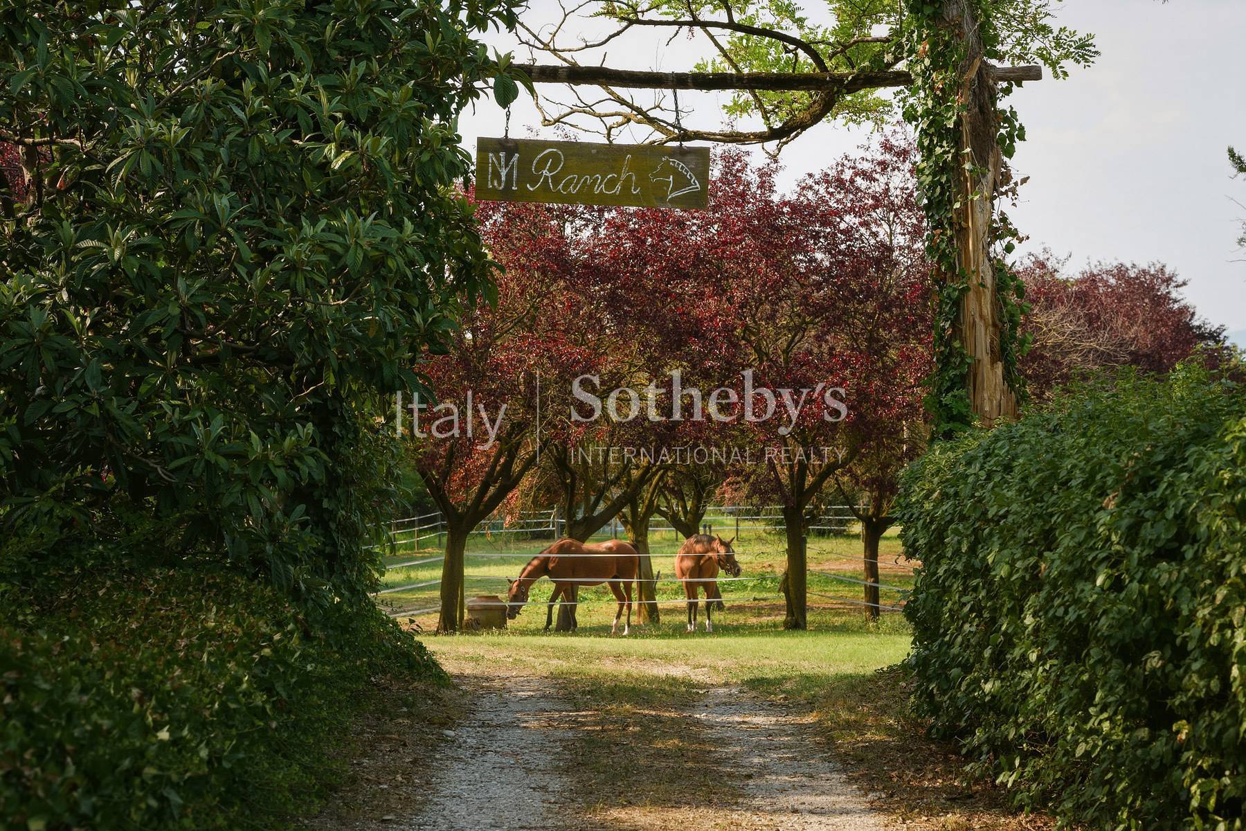  Historic Estate with Park and Vineyard between Verona and Lake Garda - 物件實景