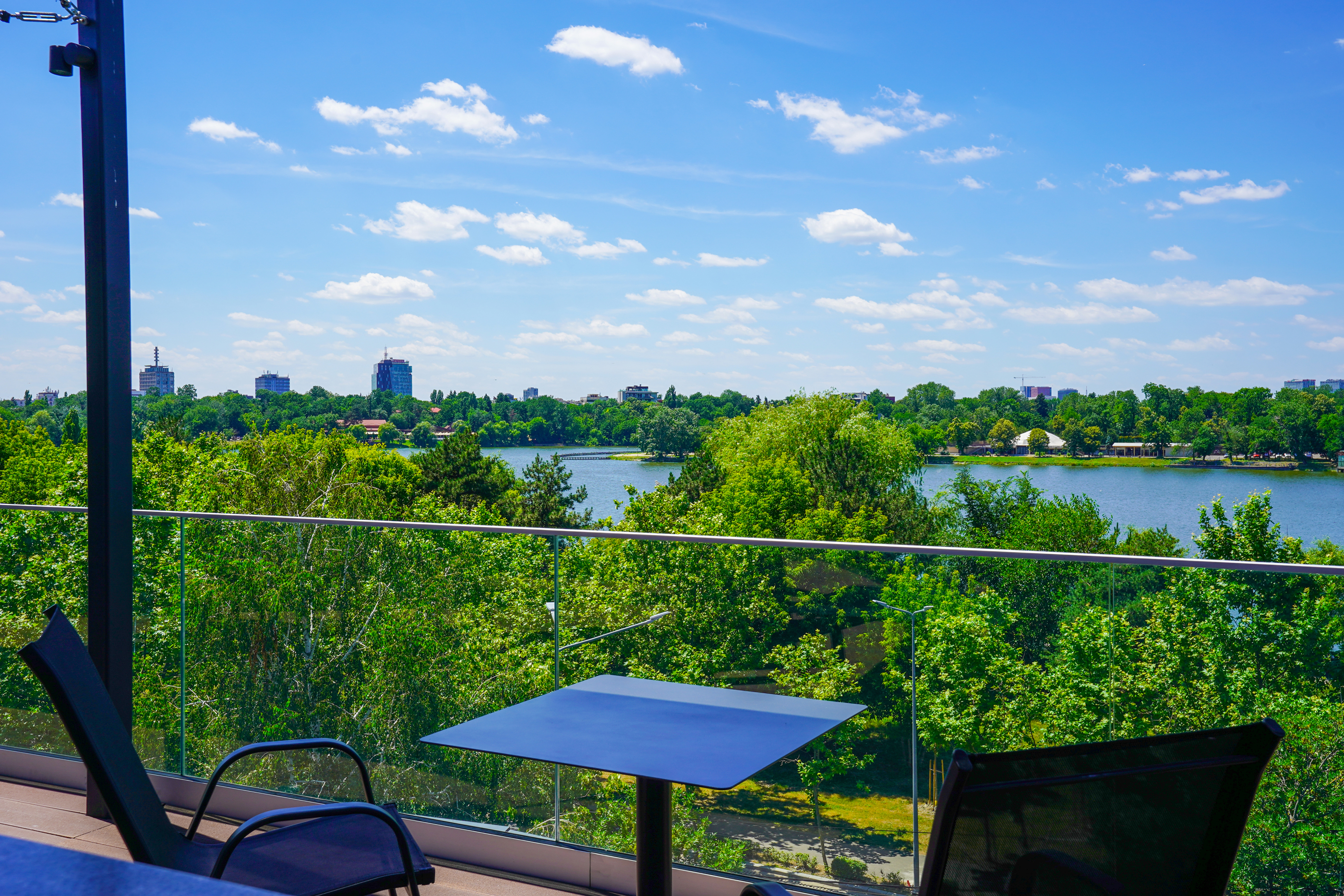  Rare Villa Overlooking Lake Floreasca - 物件實景
