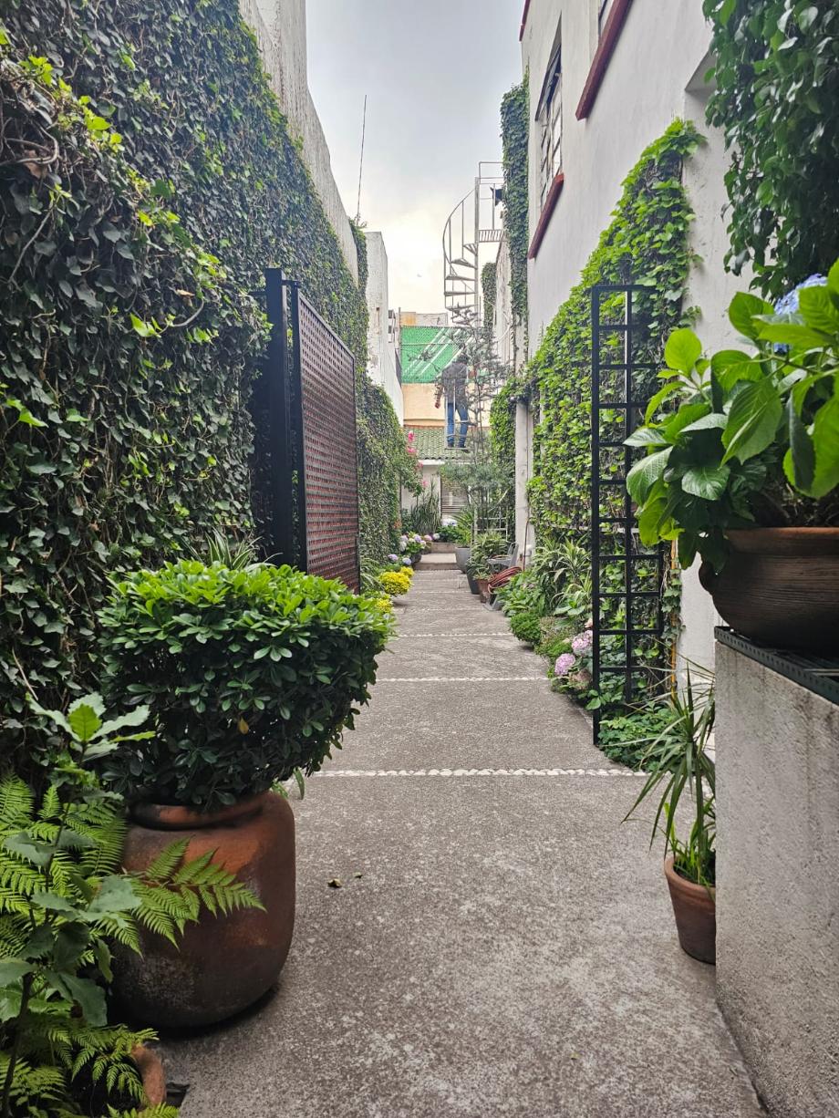 Palo Santo, Miguel Hidalgo, Ciudad de México, 11950, Mexico, 6 Bedrooms Bedrooms, ,2 BathroomsBathrooms,Residential,For Sale,Palo Santo,1627734