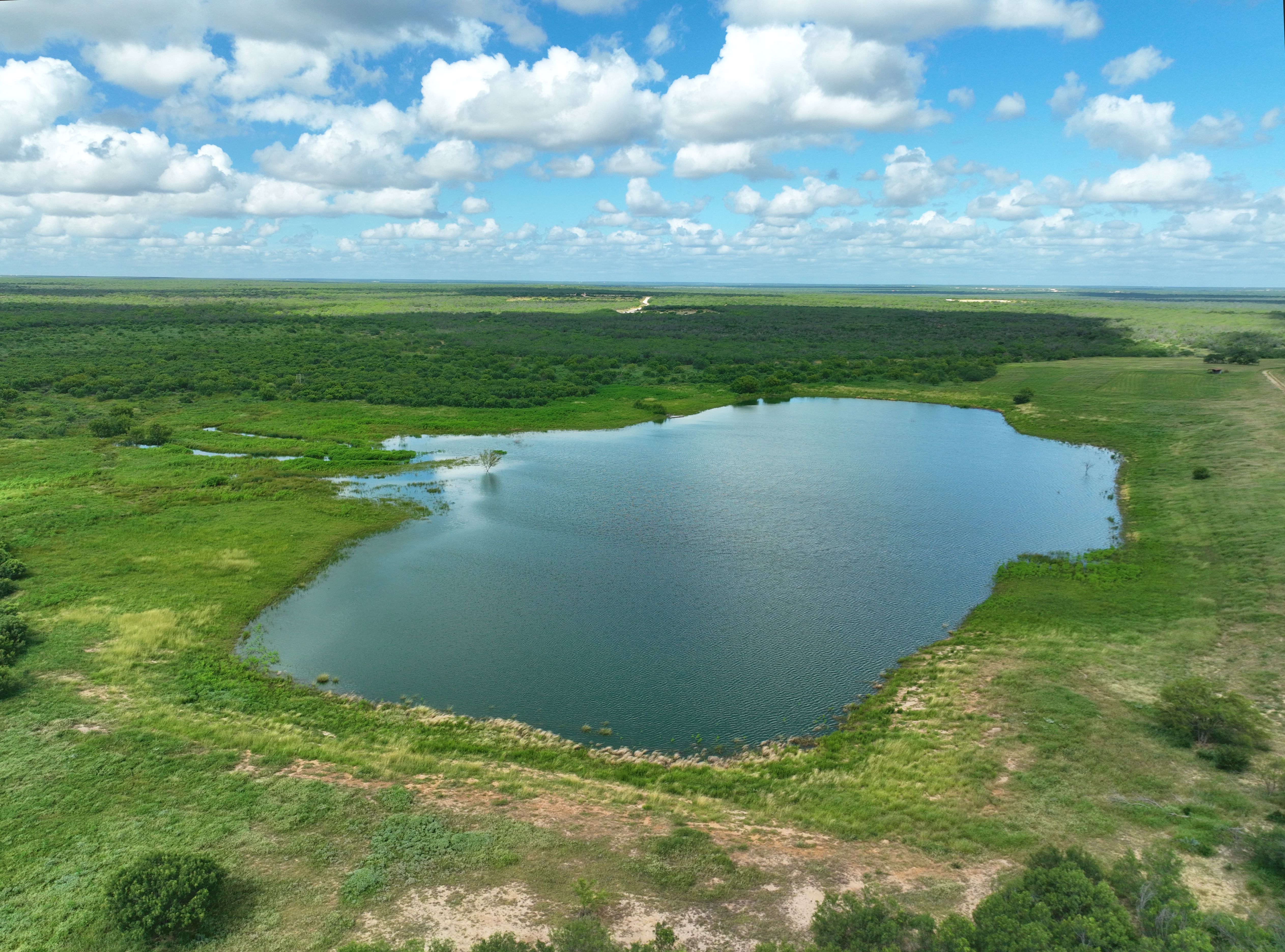  Moro Creek Ranch in Dimmit County - 物件實景