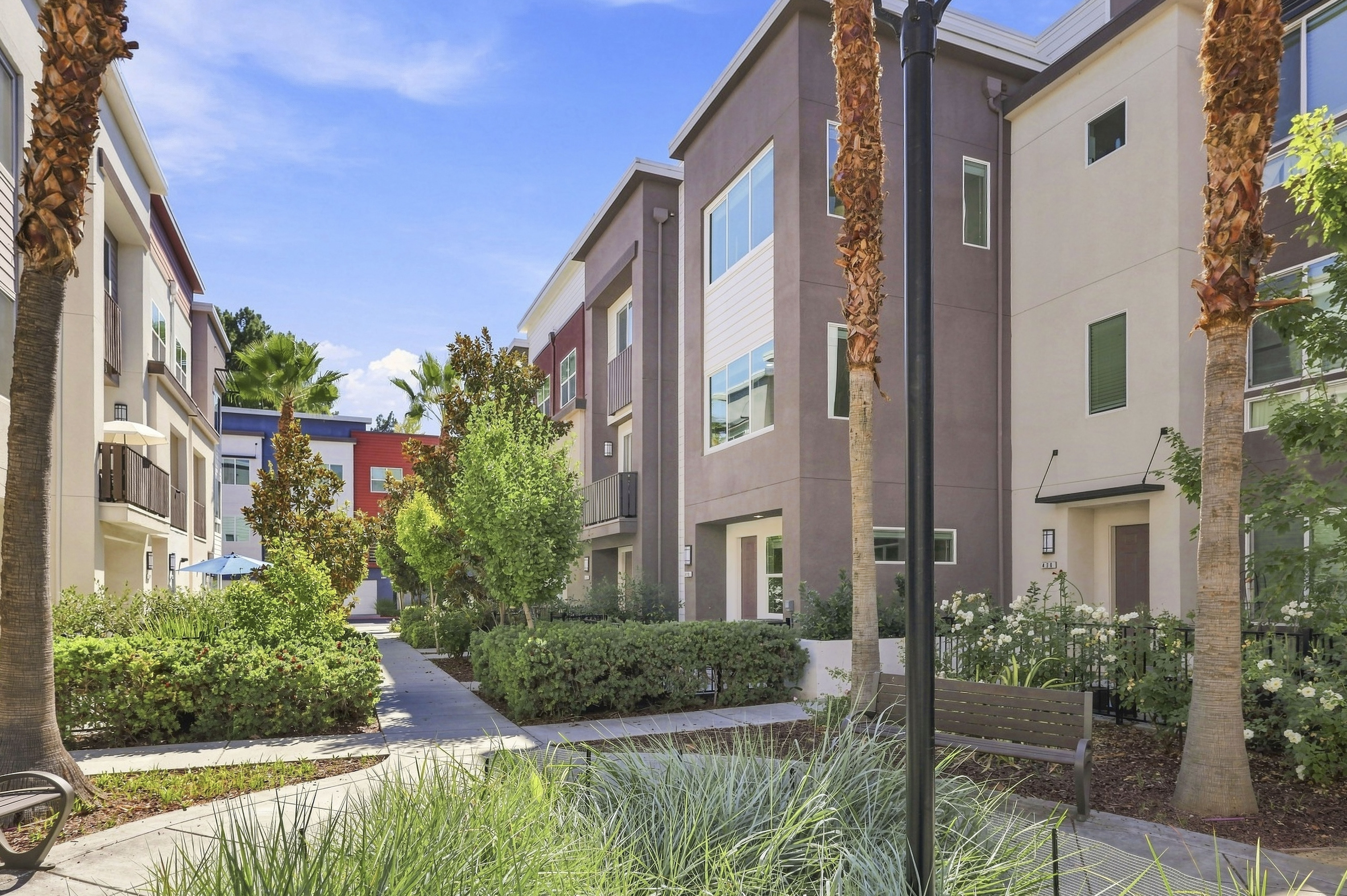  ModernStylishNew San Jose Living : Unbeatable Neighborhood - 物件實景