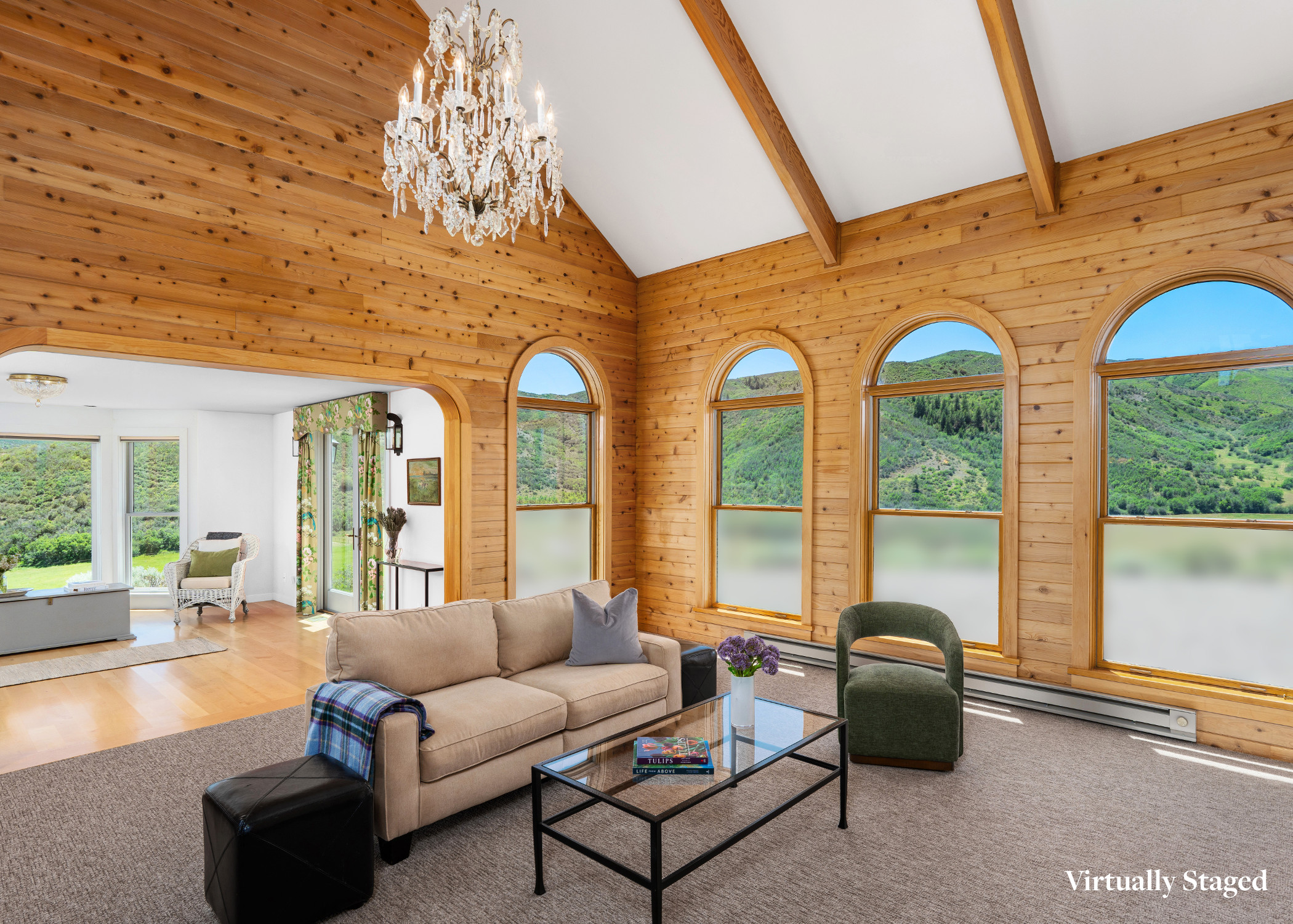  679 Brush Creek Road, Aspen, CO 81611 - 物件實景