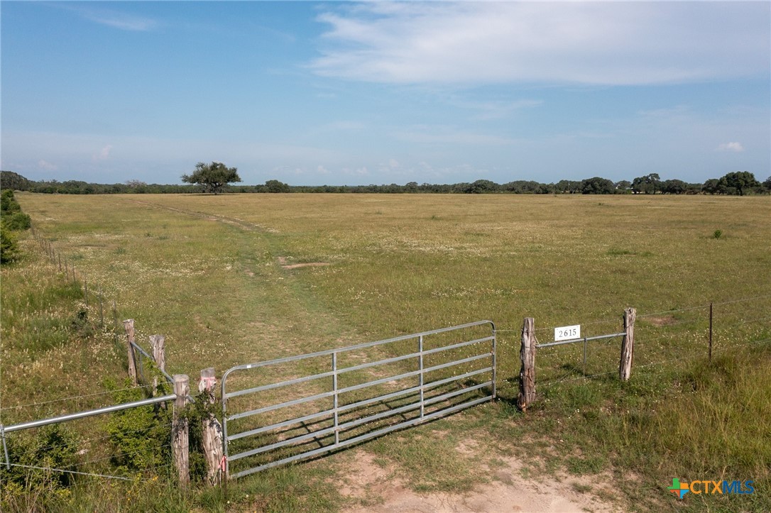 Yorktown, Texas, 78164, United States, ,Land,For Sale,1858167