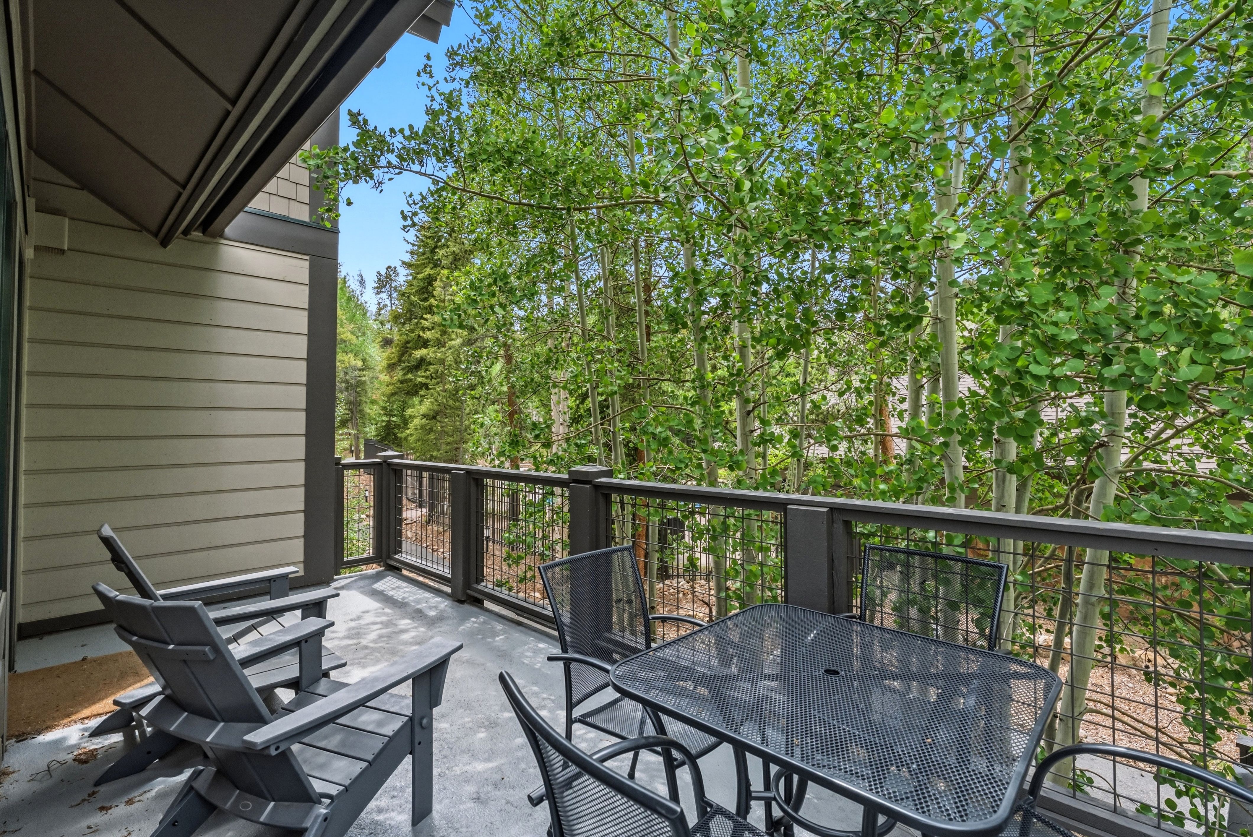  35 Mountain Thunder Drive, Breckenridge, CO, 80424 - 物件實景
