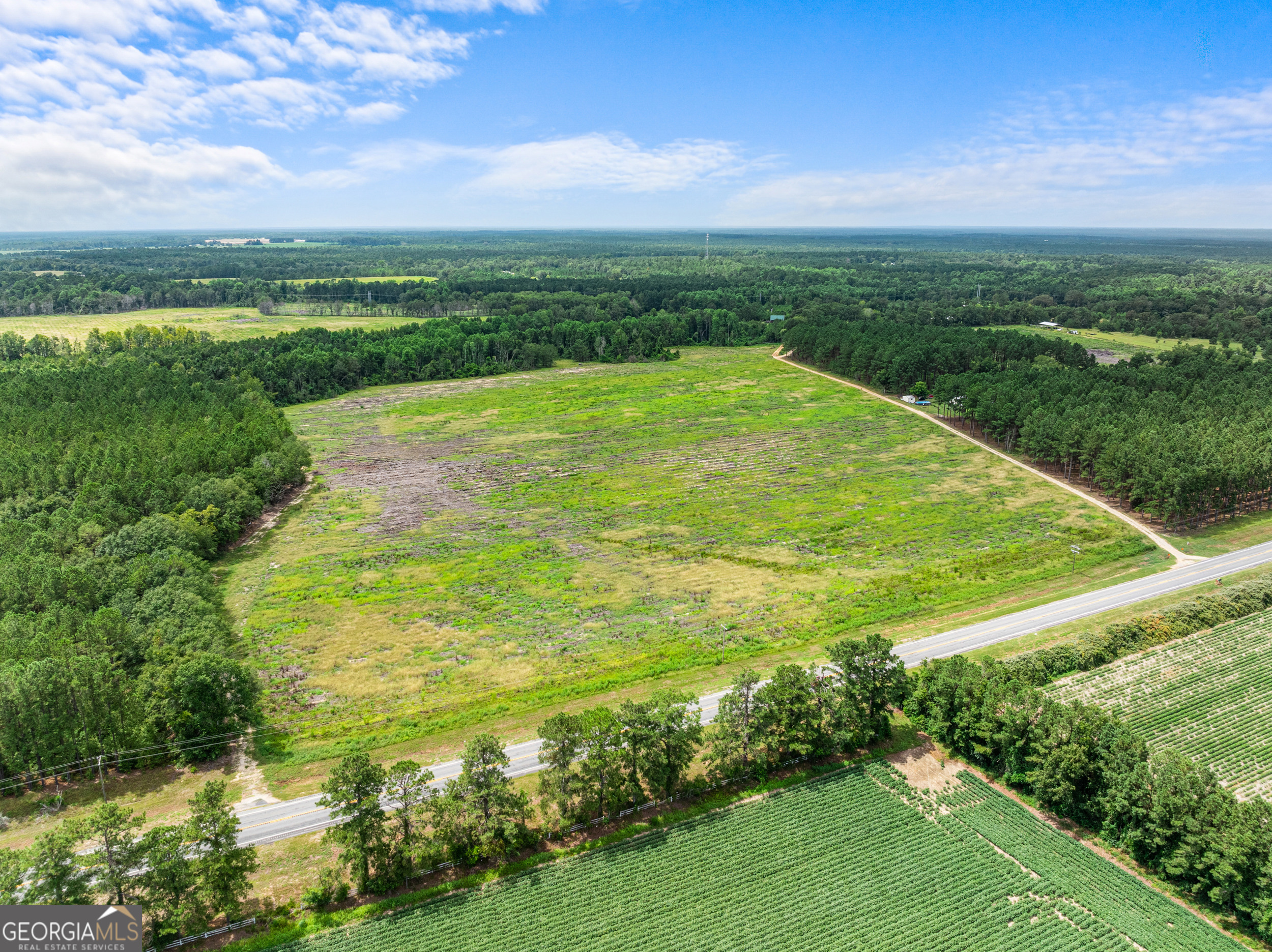 Statesboro, Georgia, 30458, United States, ,Land,For Sale,1911473