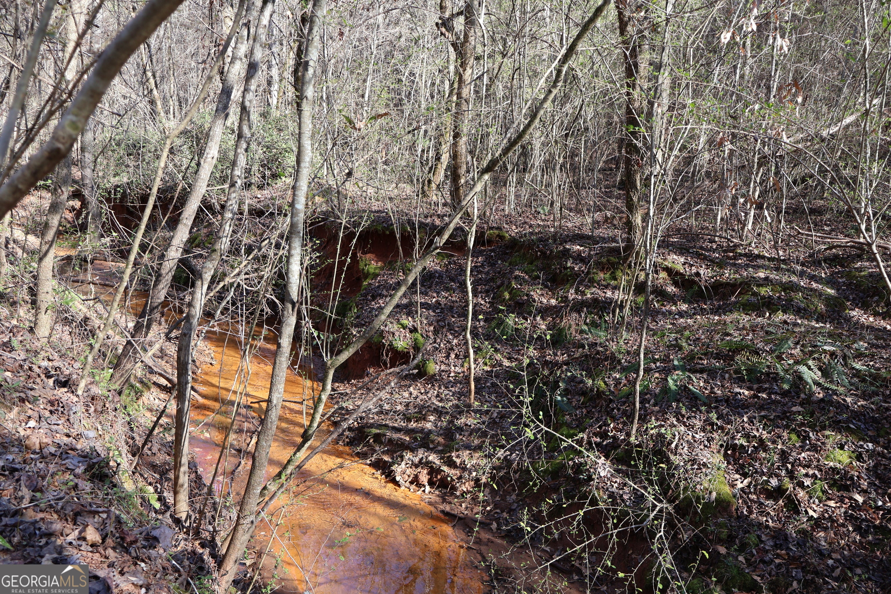 Forsyth, Georgia, 31029, United States, ,Land,For Sale,1858913