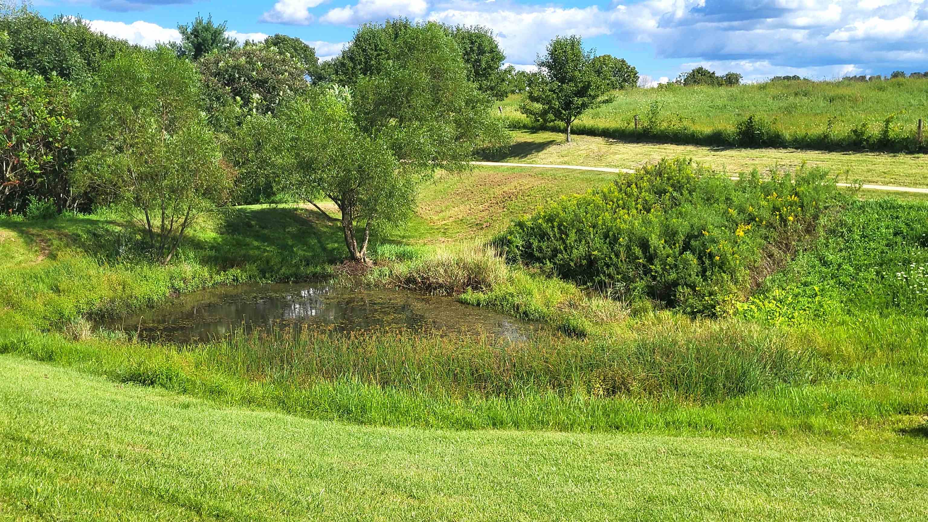 Richland Center, Wisconsin, 53581, United States, 1 Bedroom Bedrooms, ,2 BathroomsBathrooms,Residential,For Sale,2037318