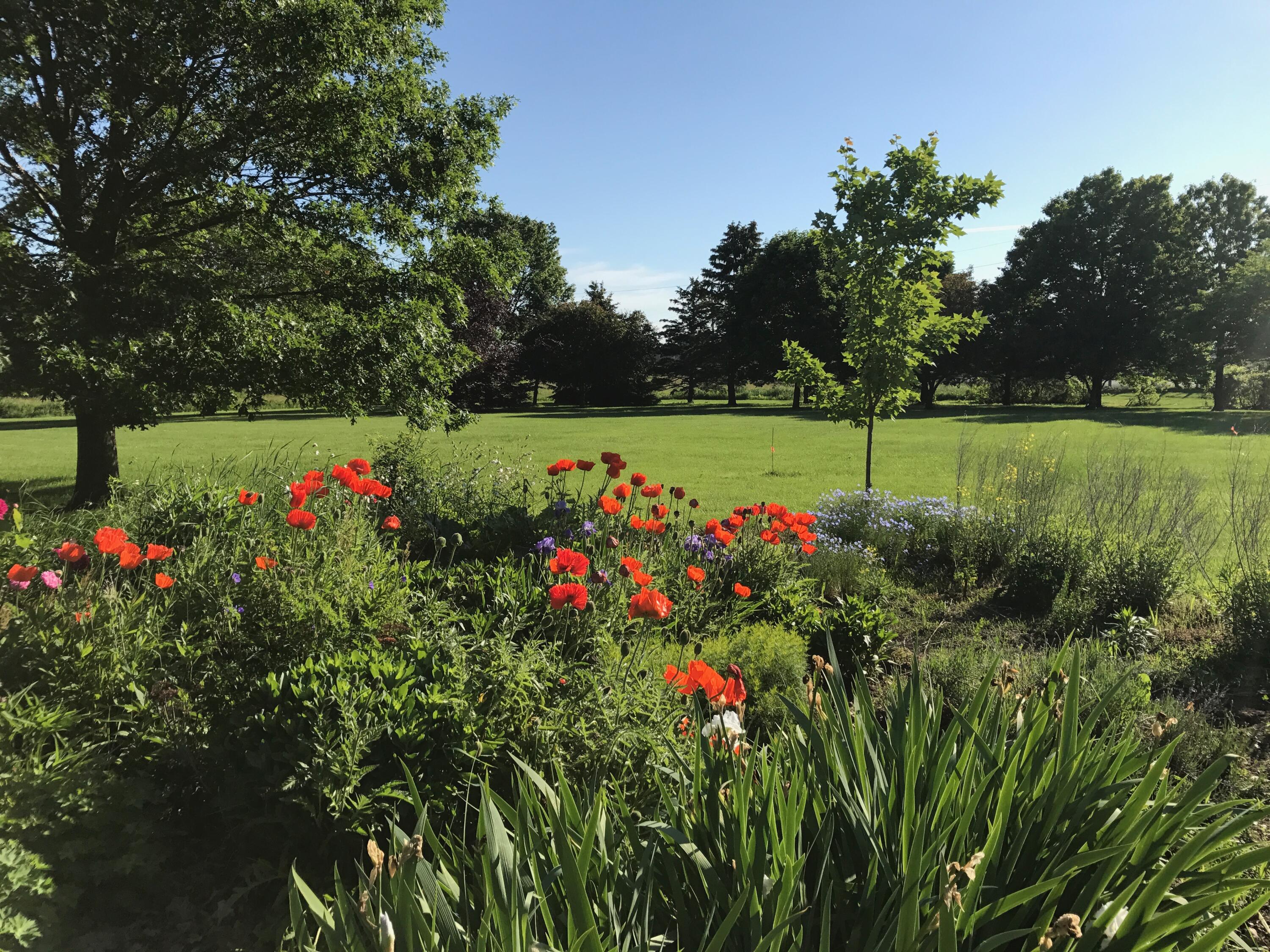 Ida, Michigan, 48140, United States, 4 Bedrooms Bedrooms, ,3 BathroomsBathrooms,Residential,For Sale,1973909