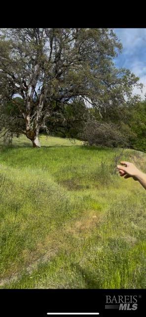 Covelo, California, 95428, United States, ,Land,For Sale,1868572