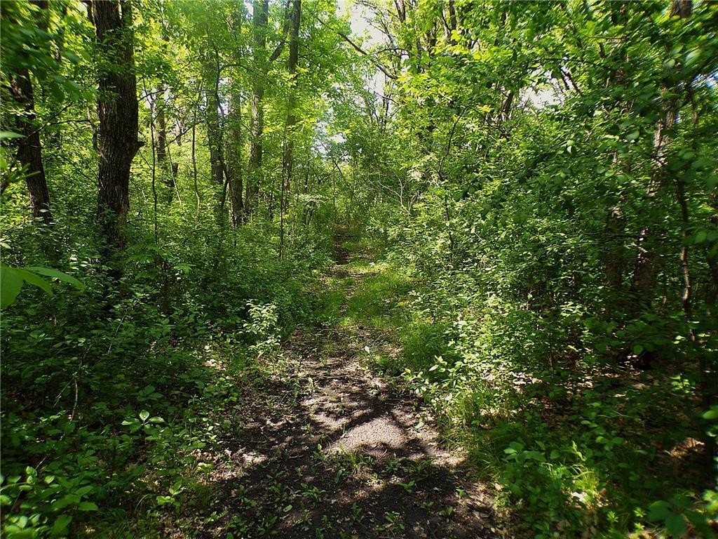 Alexandria, Minnesota, 56308, United States, 3 Bedrooms Bedrooms, ,1 BathroomBathrooms,Residential,For Sale,1978557