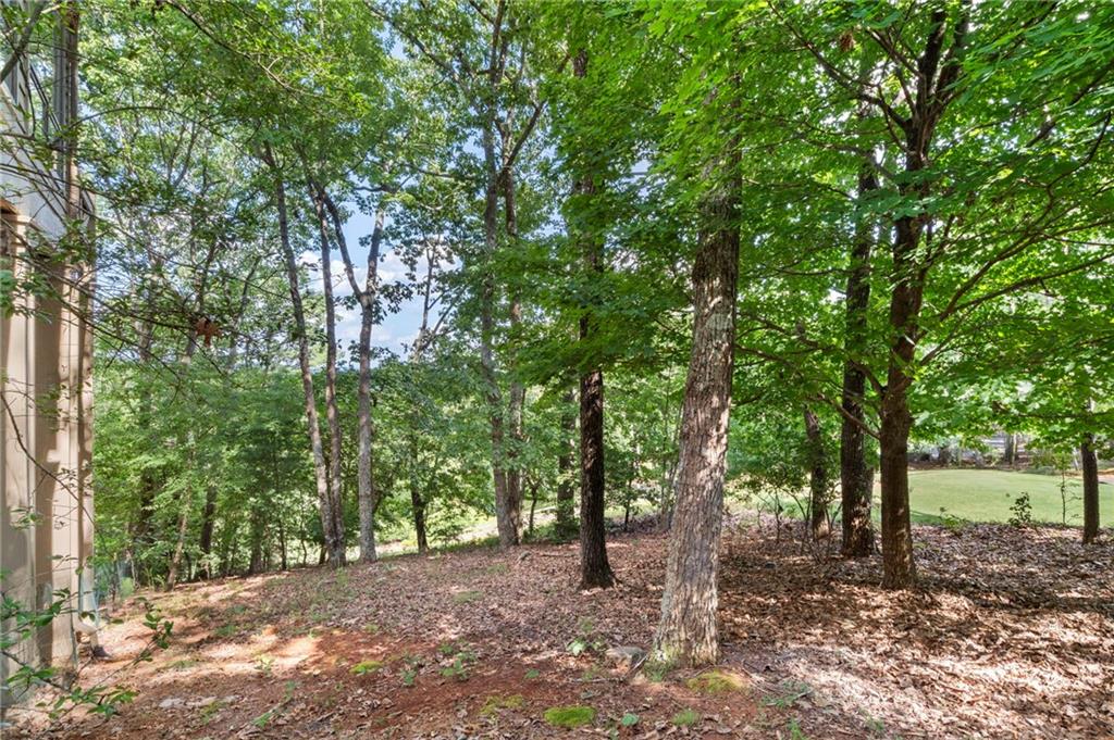 Big Canoe, Georgia, 30143, United States, 4 Bedrooms Bedrooms, ,4 BathroomsBathrooms,Residential,For Sale,1975574