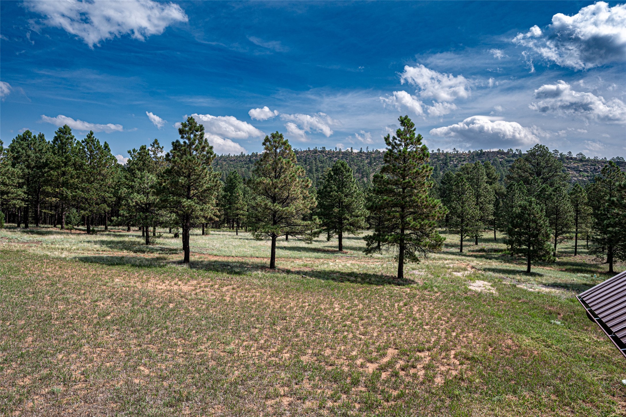  115 Blue Deer Ranch Road, B-109 - 物件實景