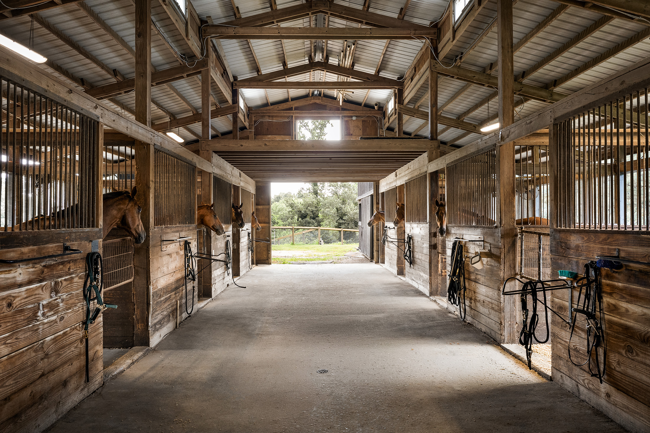  Rare Equestrian Facility with Prestigious Address - 物件實景