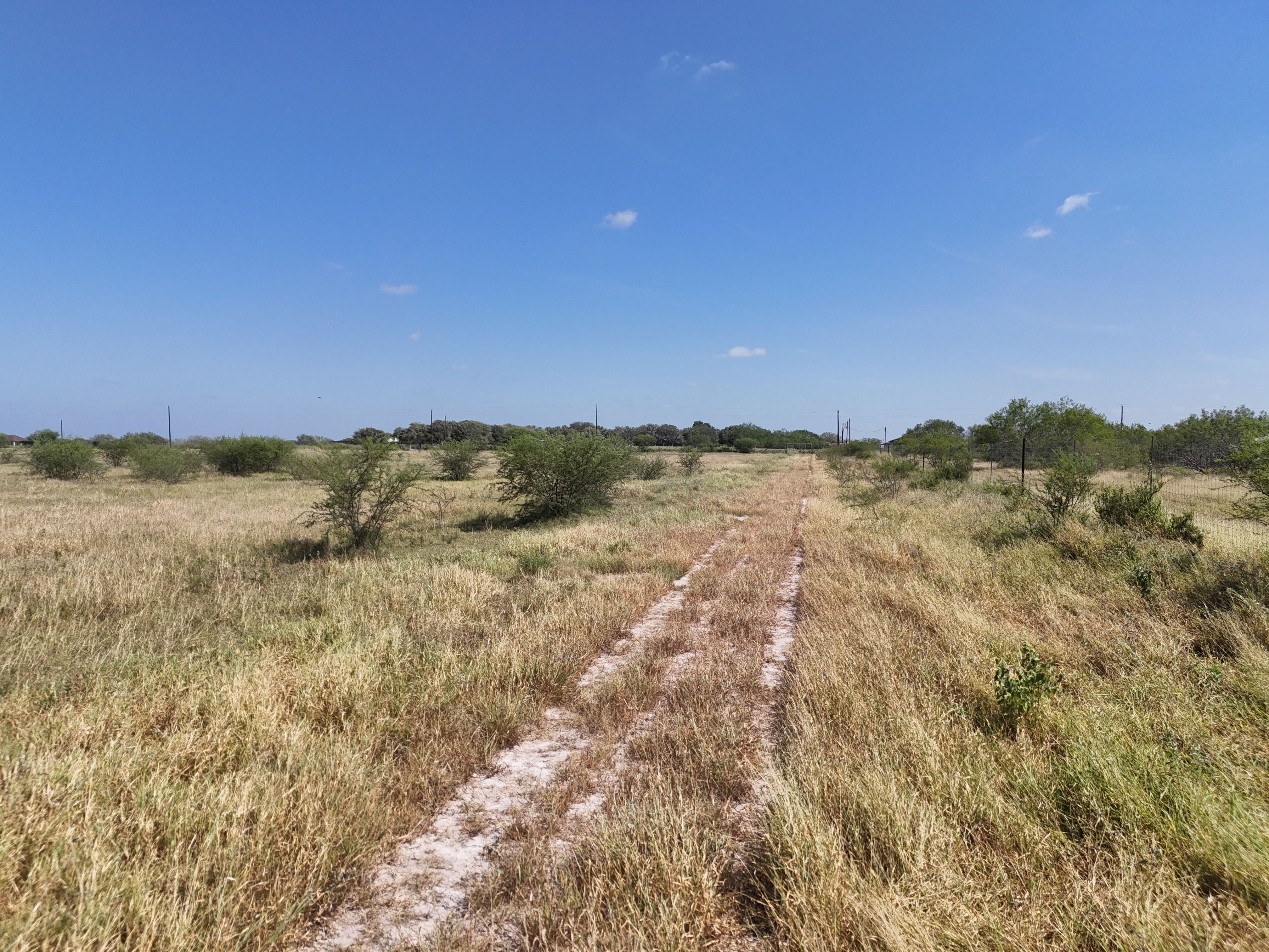  976+/- Acres - San Andreas Creek Ranch - 物件實景