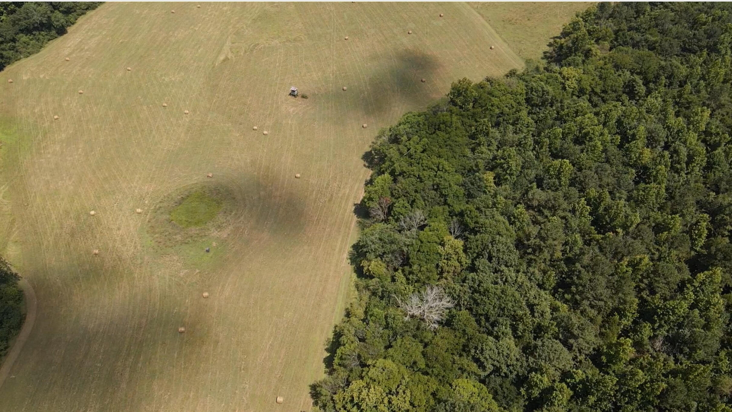 Bryant, Alabama, 35958, United States, ,Land,For Sale,1982684