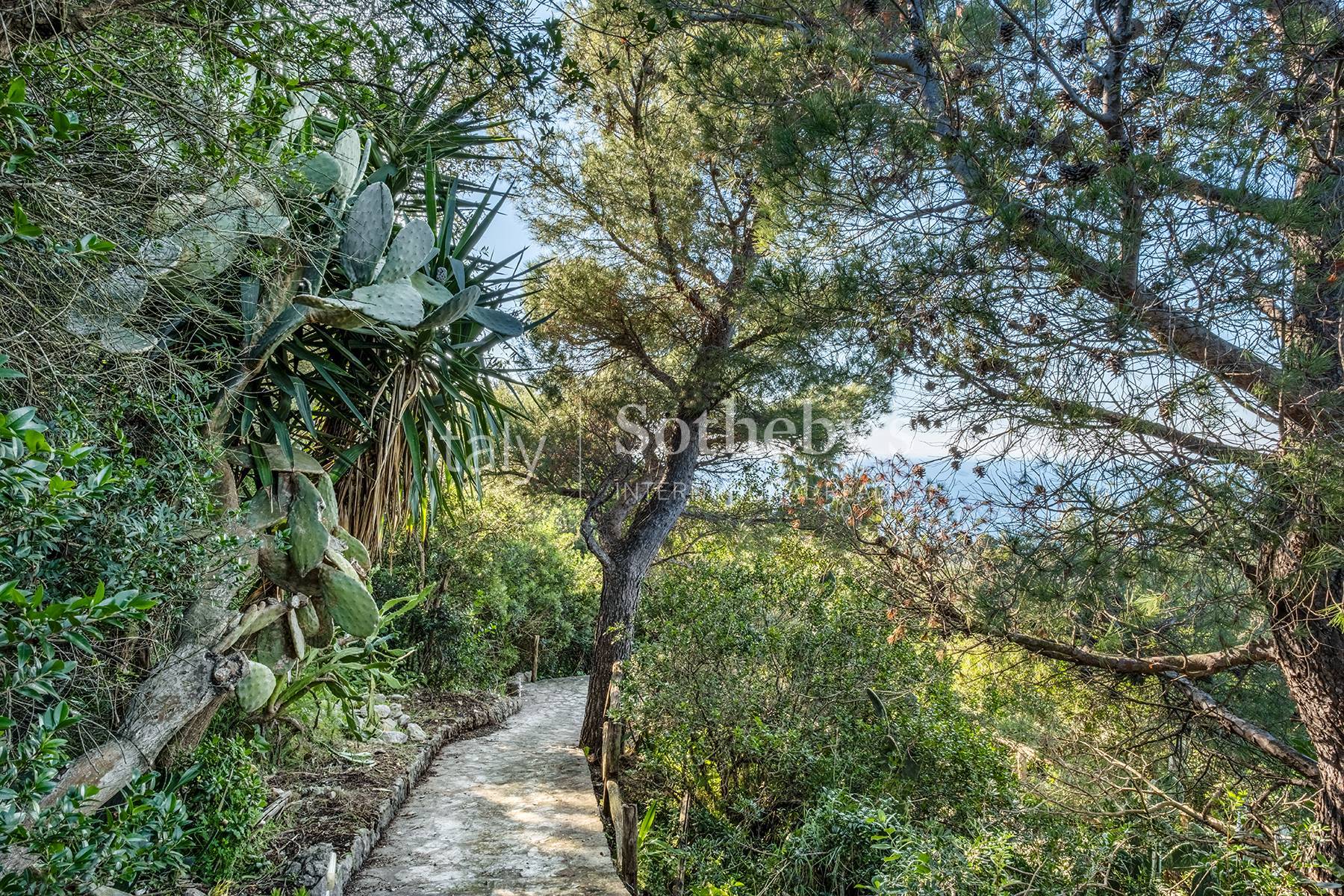  Charming retreat in the heart of Anacapri - 物件實景