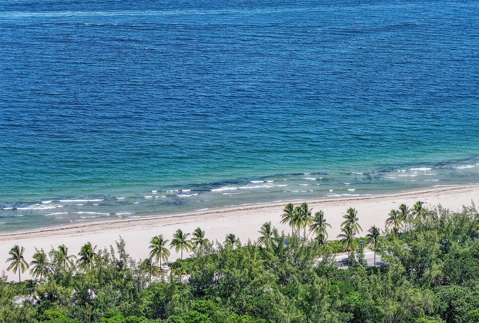  2845 NE 9th St, Fort Lauderdale, FL, 33304 - 物件實景