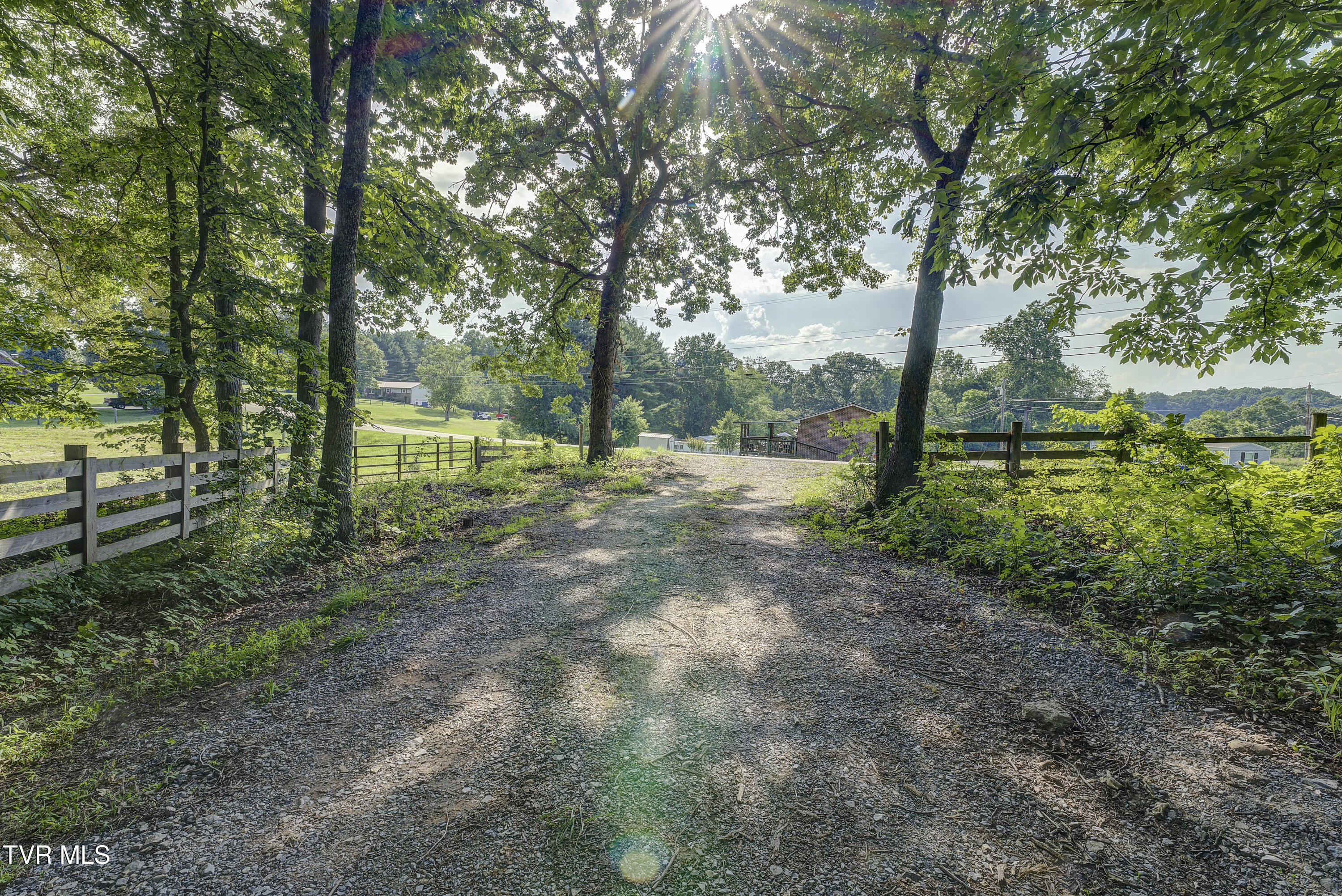 Piney Flats, Tennessee, 37686, United States, ,Land,For Sale,1983828