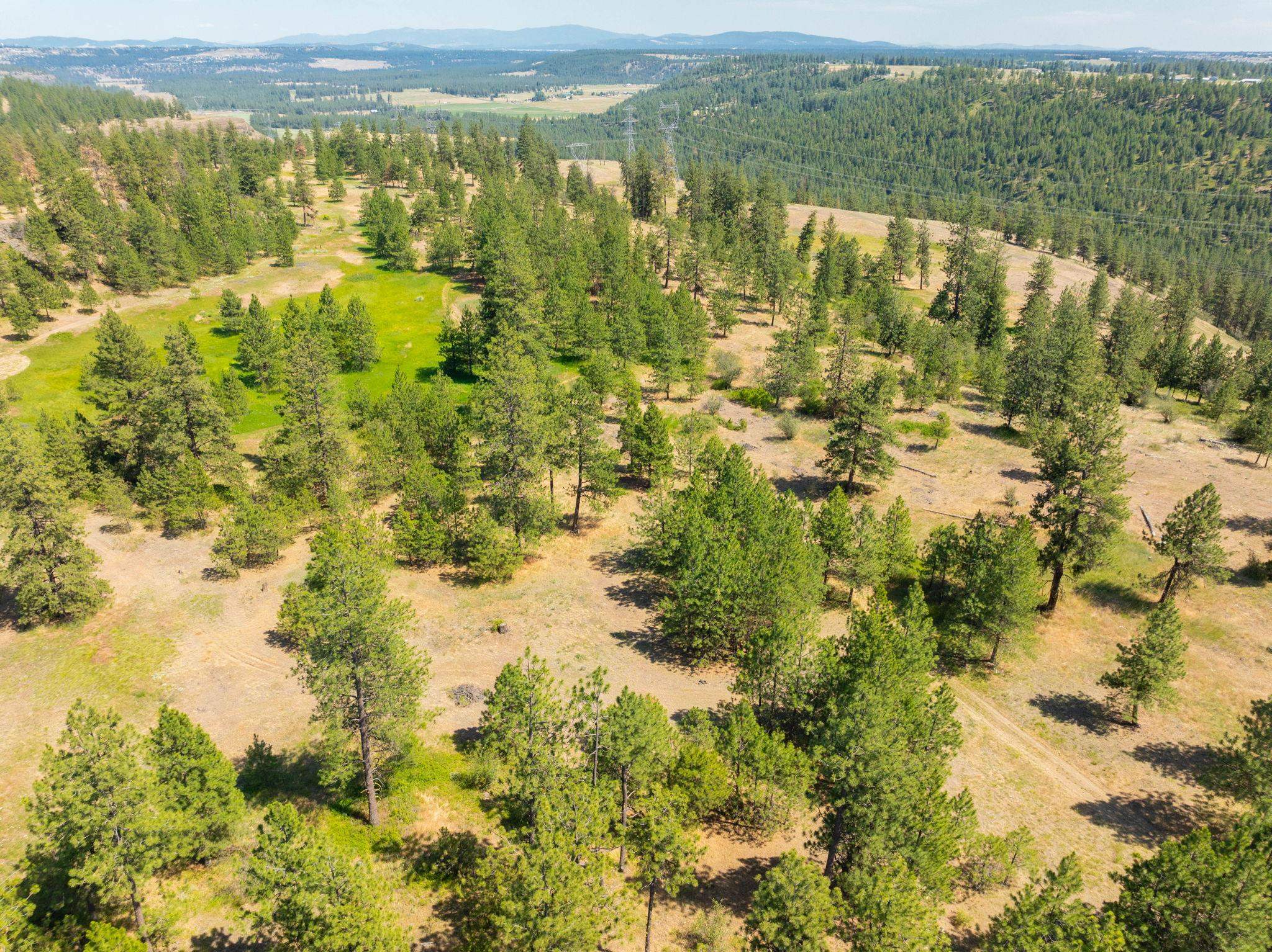Nine Mile Falls, Washington, 99026, United States, ,Land,For Sale,1960887