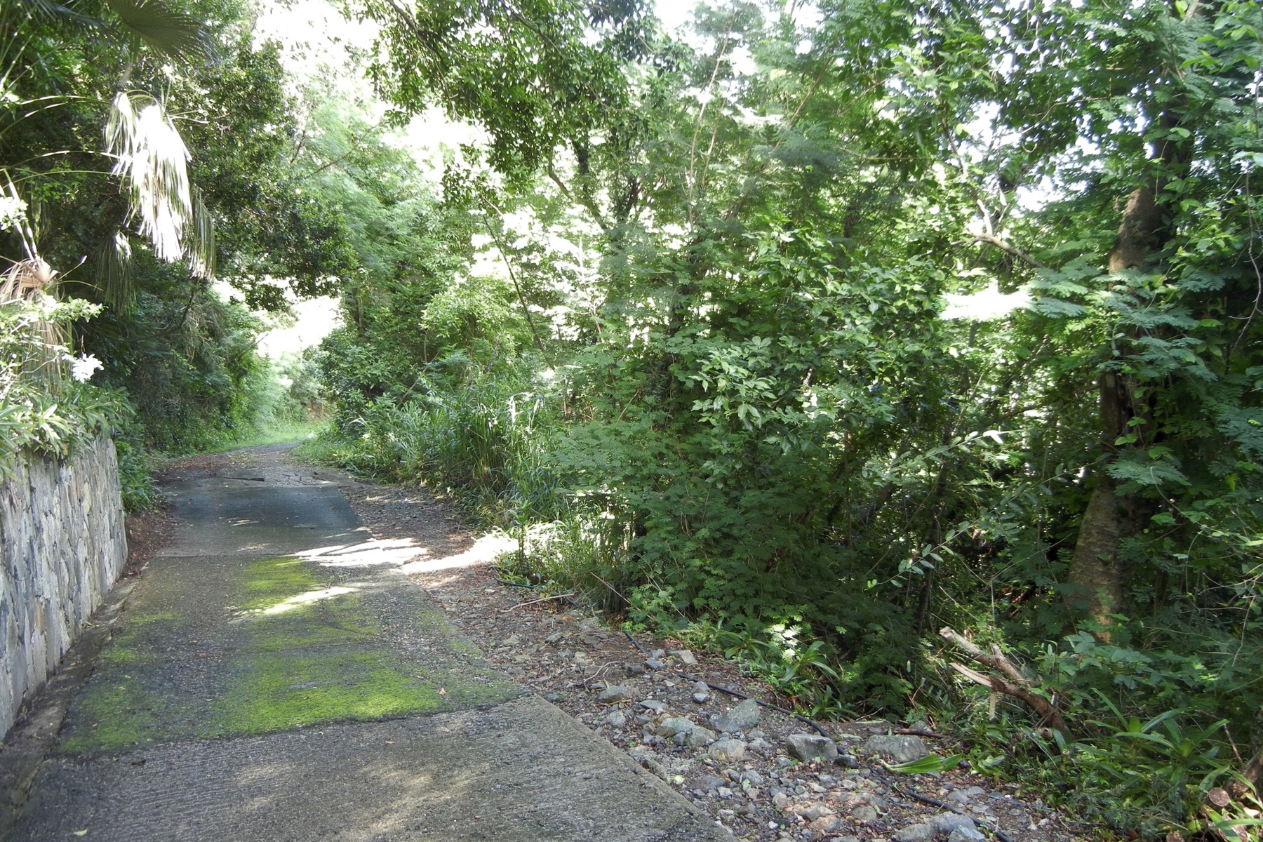  Belmont Plantation Land - 物件實景